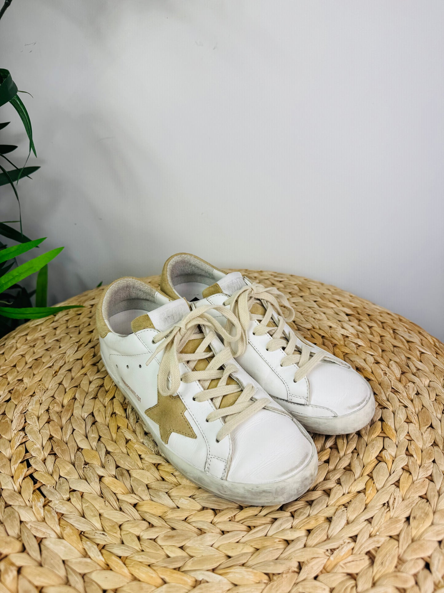 Superstar Trainers - Size 38