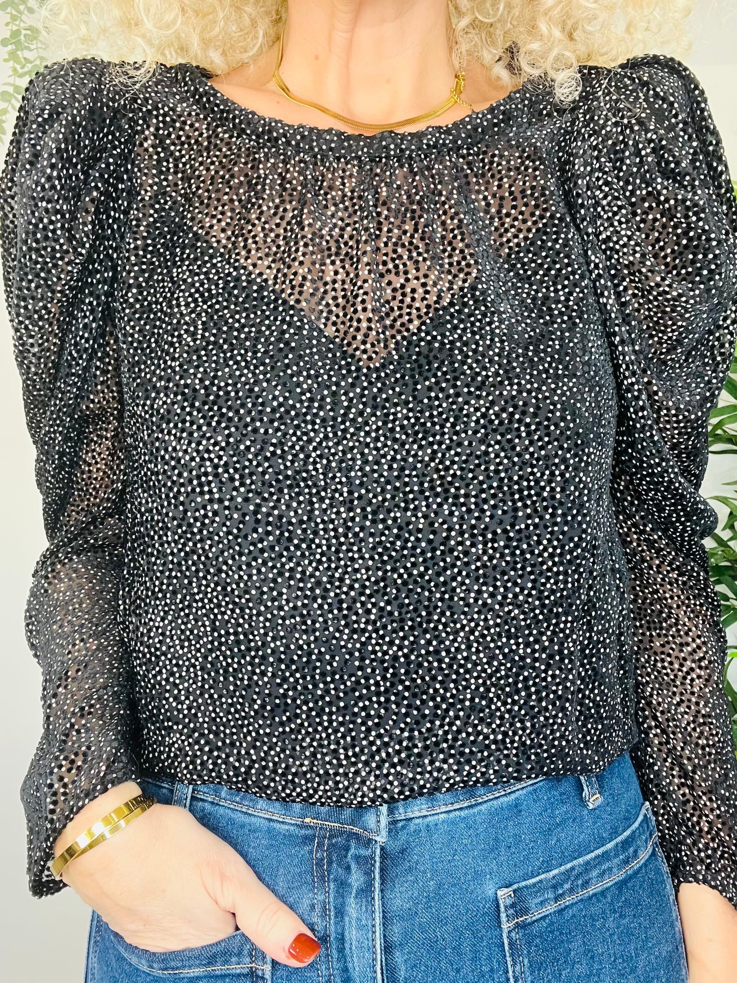 Sheer Blouse - Size 2