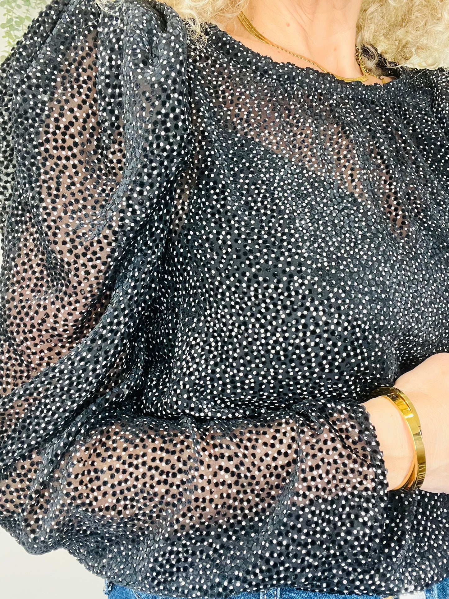 Sheer Blouse - Size 2