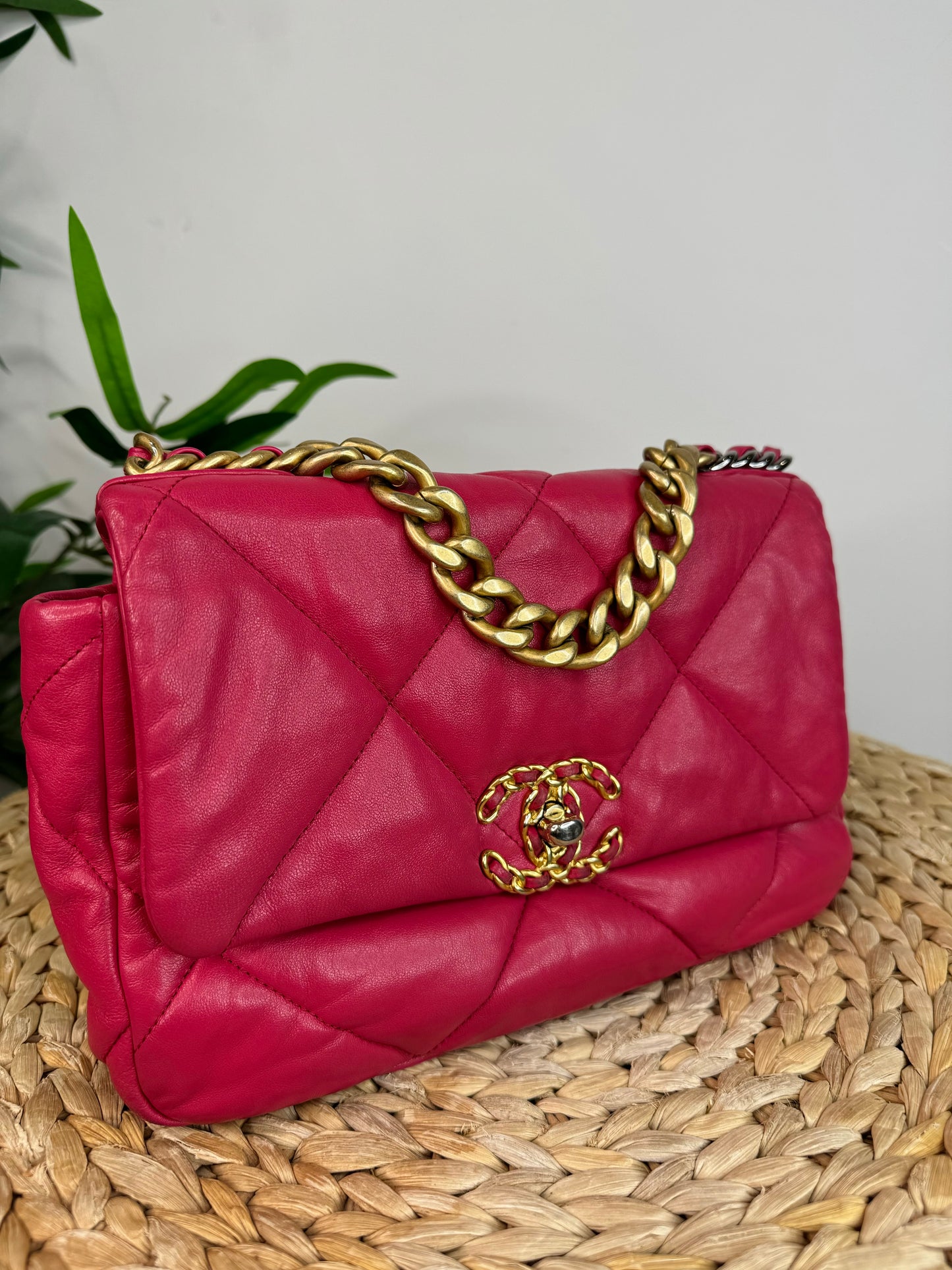 Medium Chanel 19 Bag
