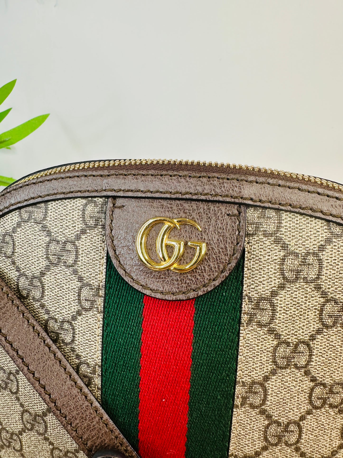 Ophidia Small Shoulder Bag