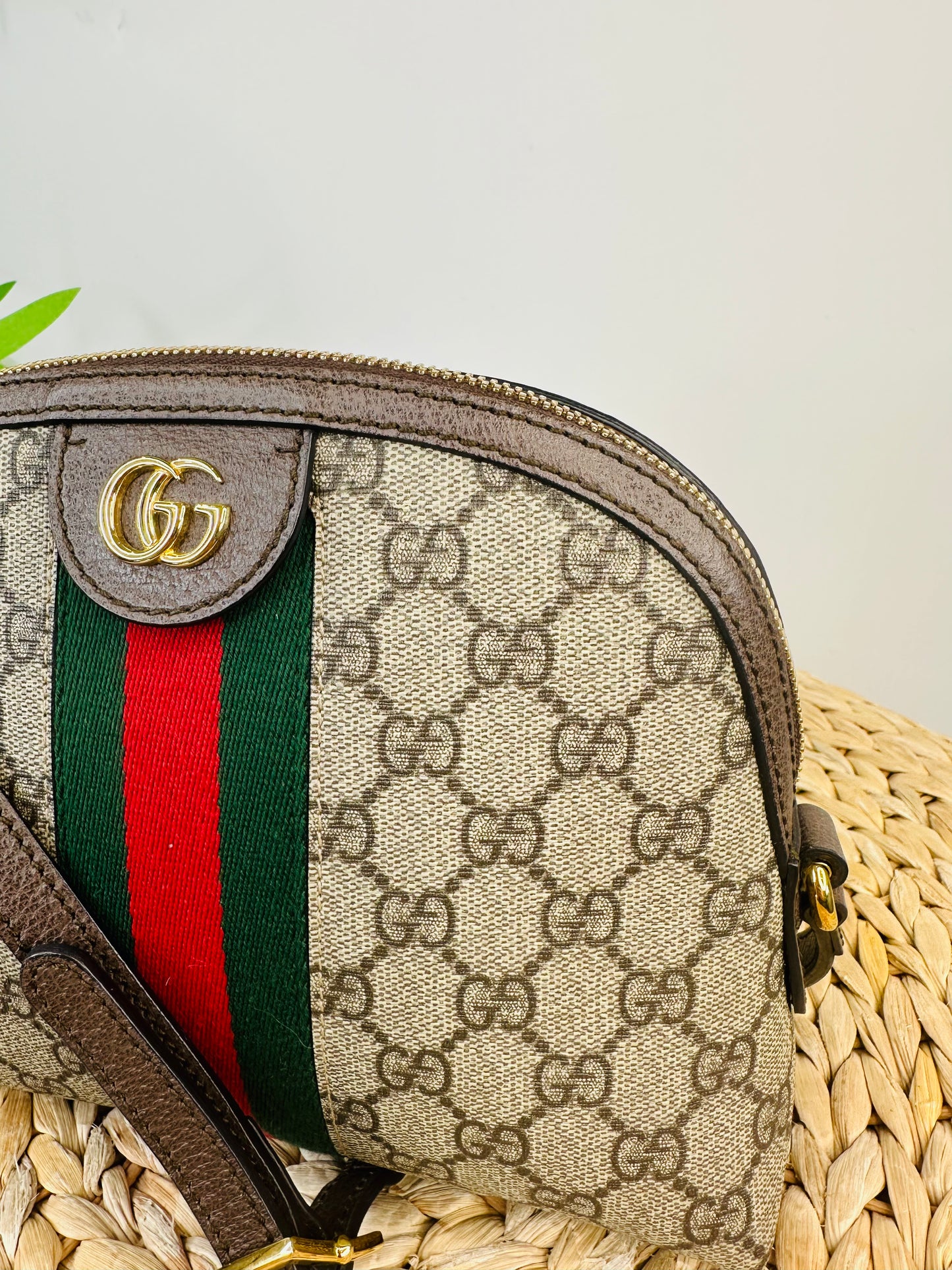 Ophidia Small Shoulder Bag