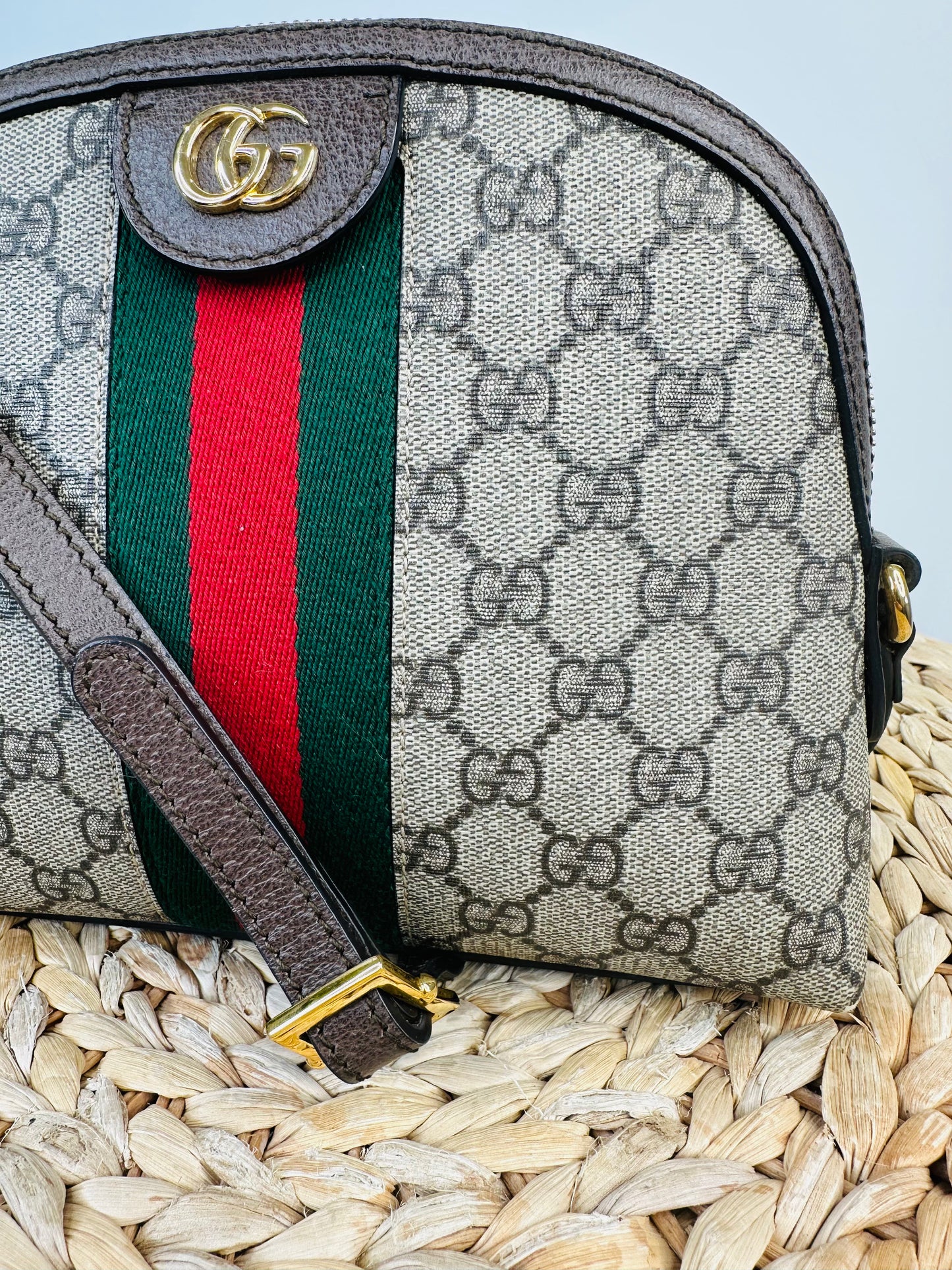 Ophidia Small Shoulder Bag