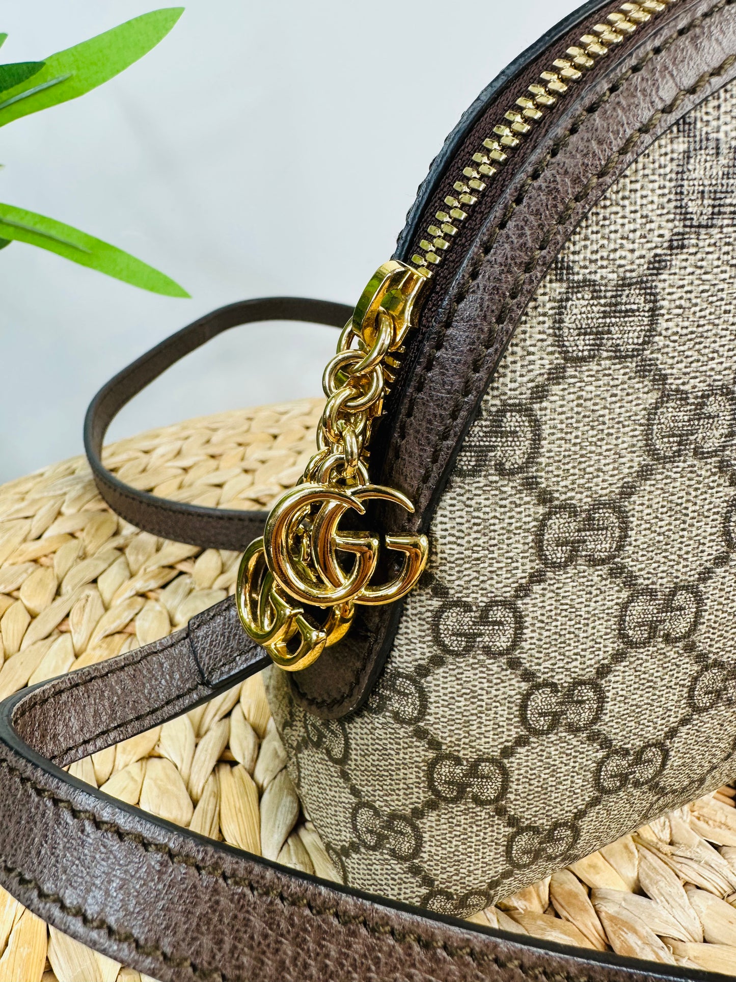 Ophidia Small Shoulder Bag