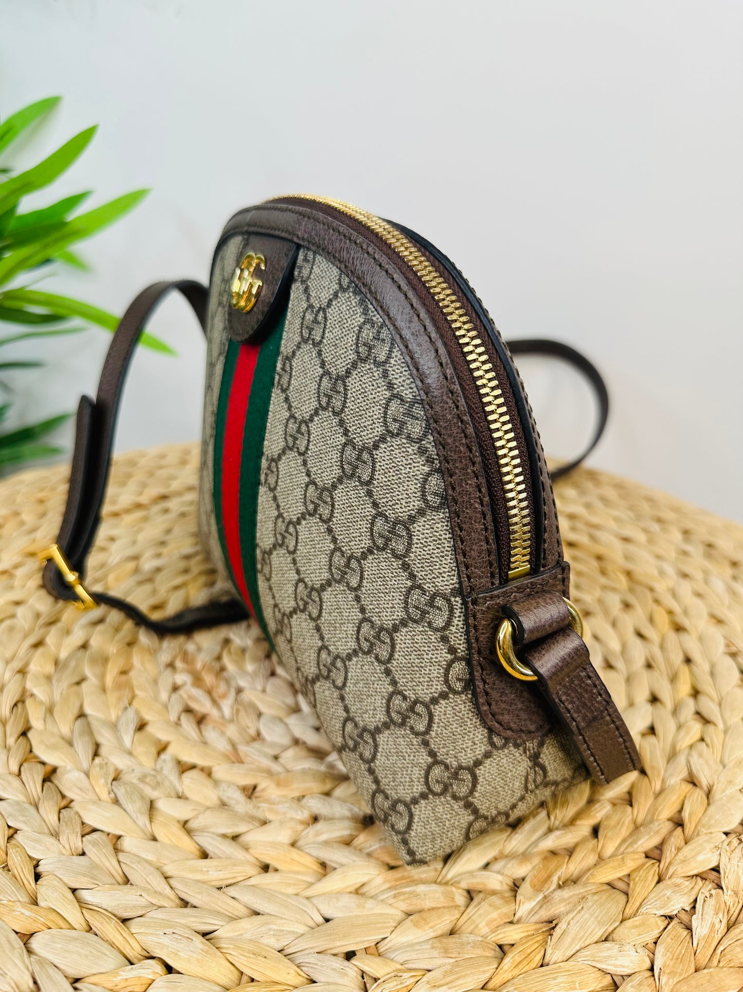Ophidia Small Shoulder Bag