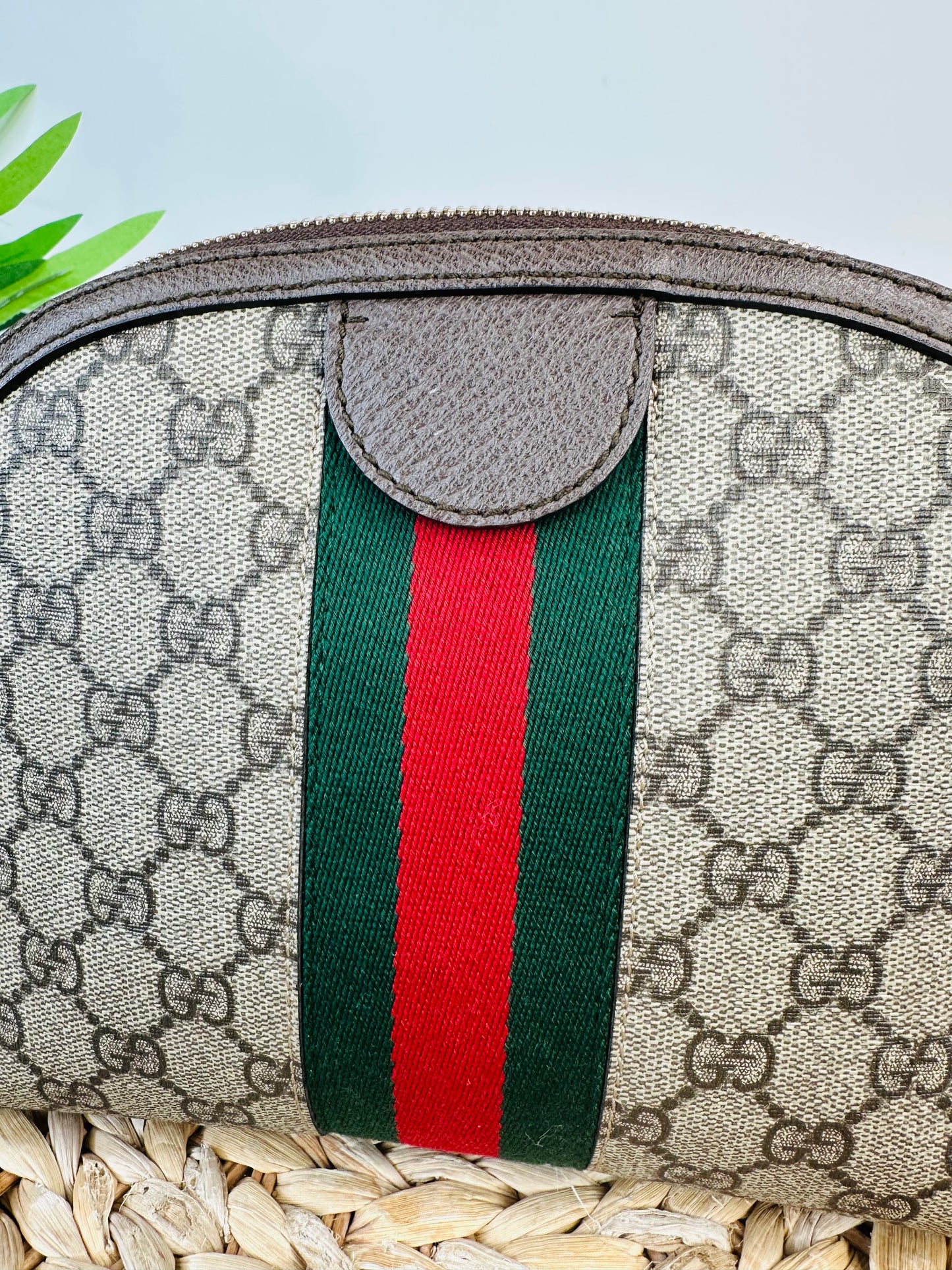 Ophidia Small Shoulder Bag