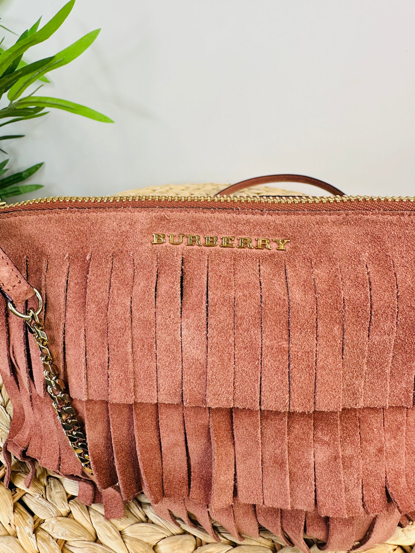 Suede Fringed Bag