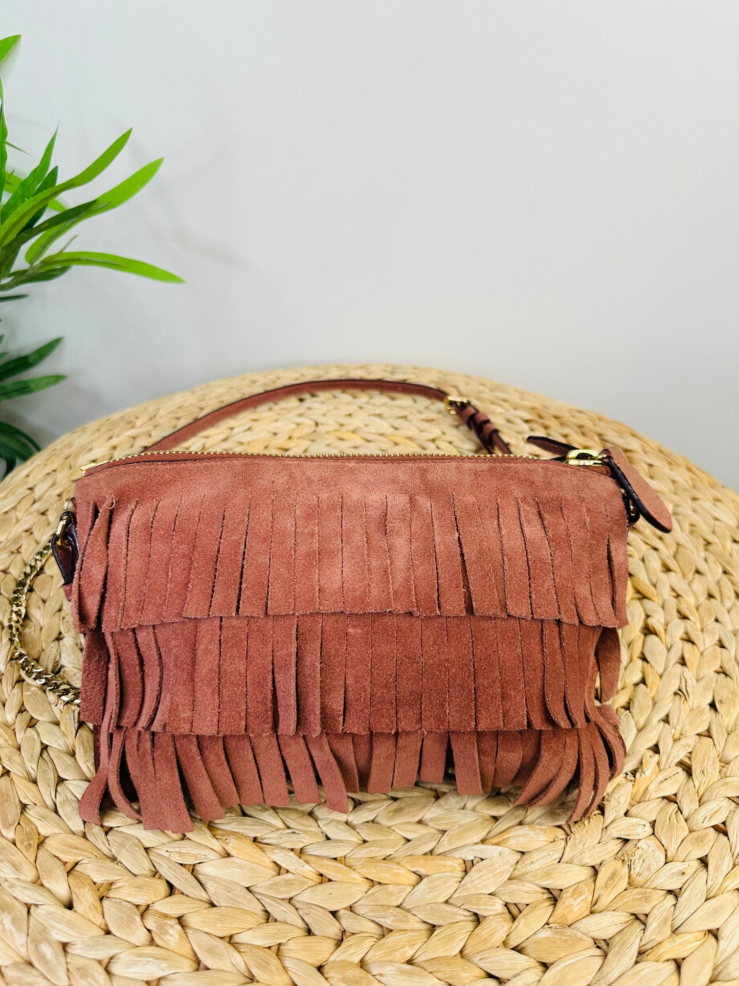 Suede Fringed Bag
