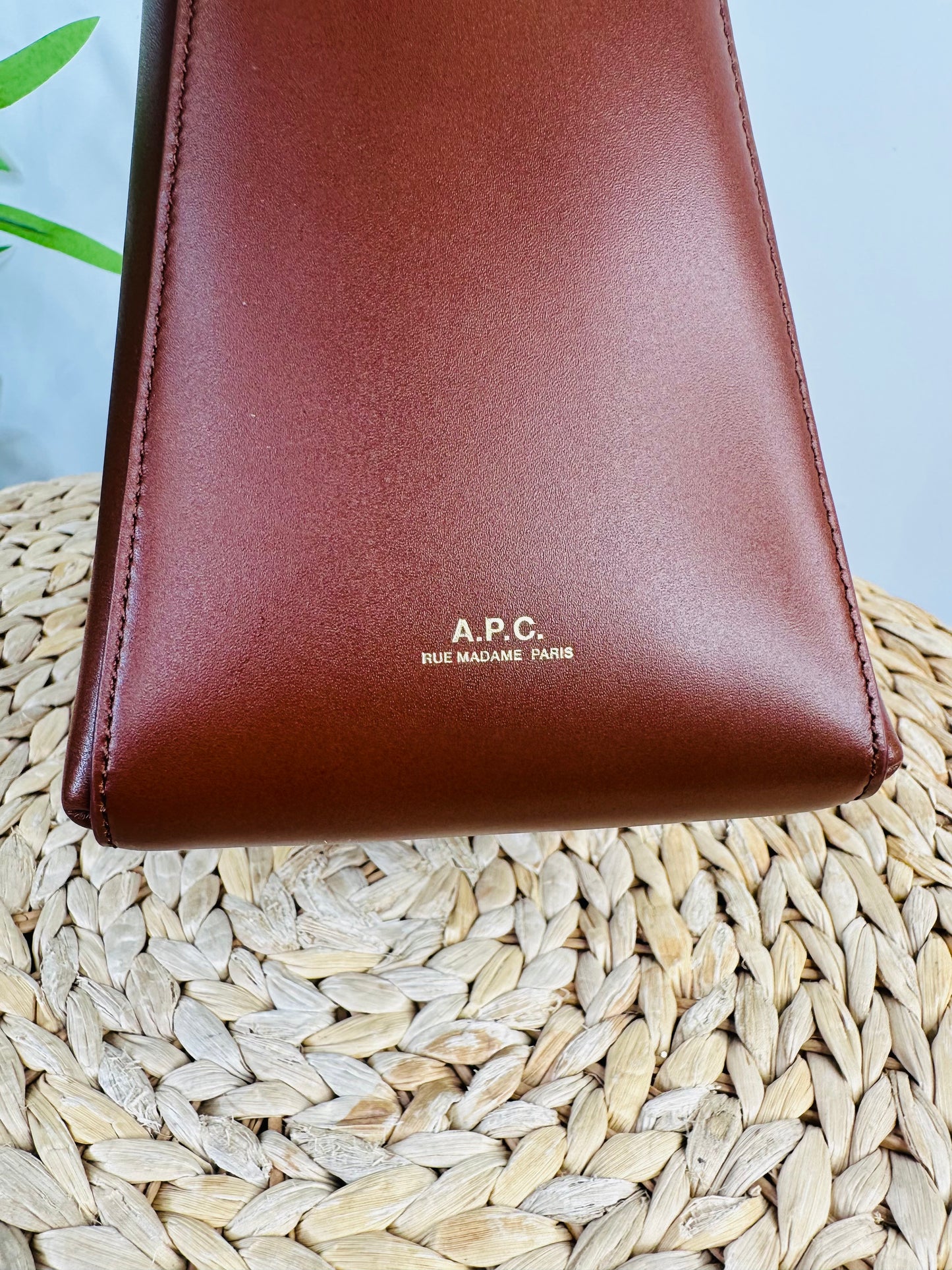 Virginie Leather Bucket Bag