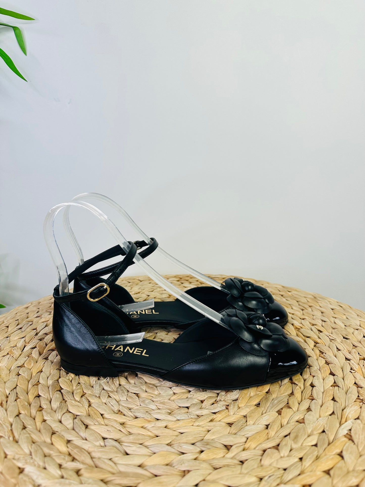 Camellia Flats - Size 38.5