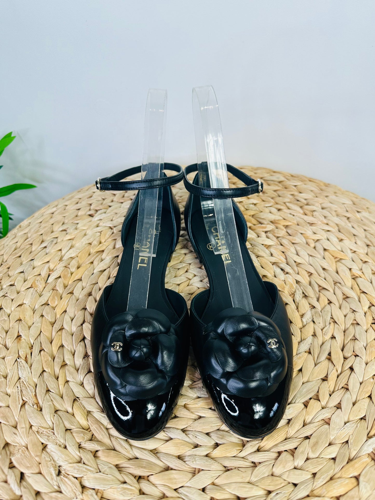 Camellia Flats - Size 38.5