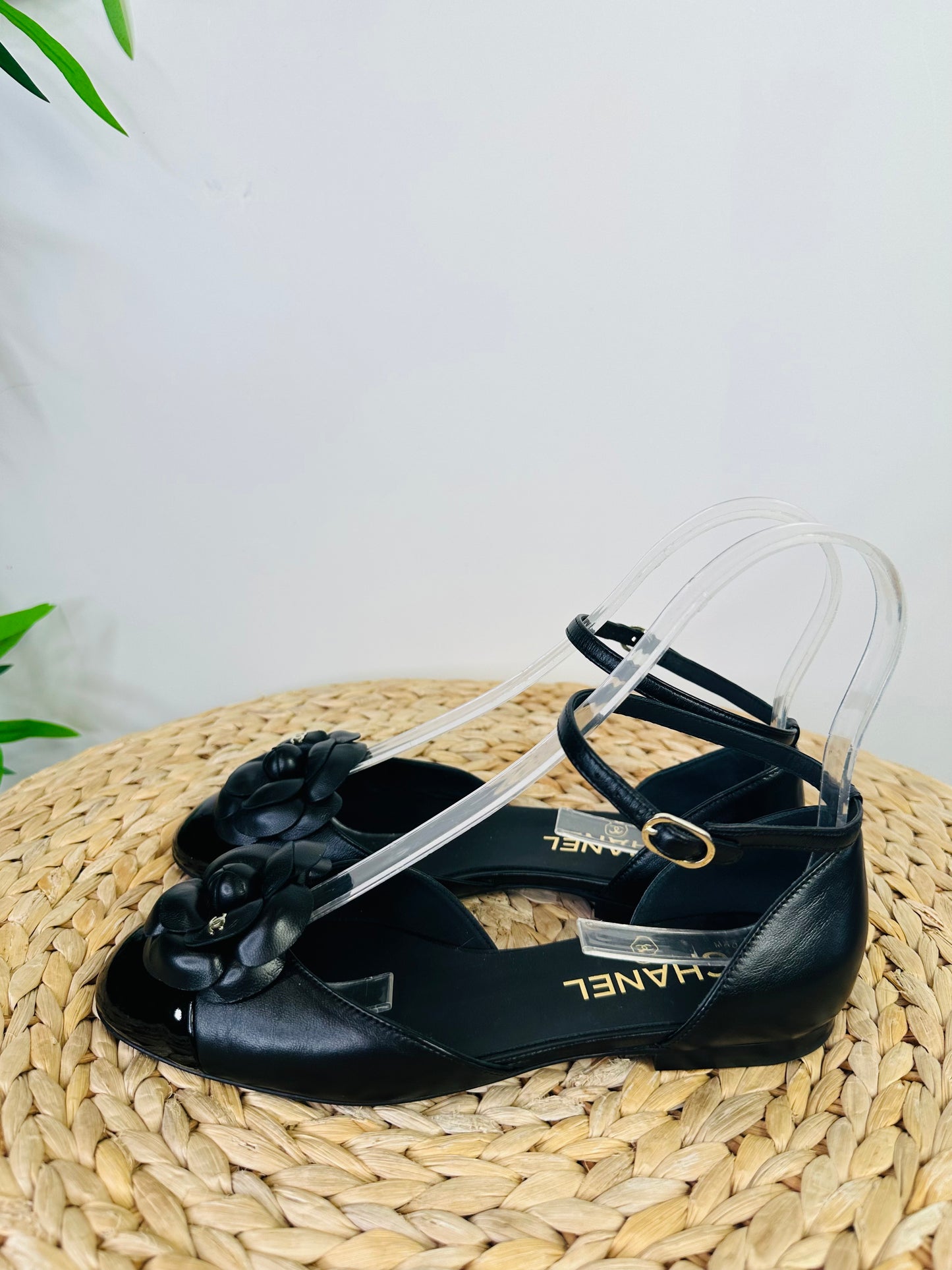 Camellia Flats - Size 38.5