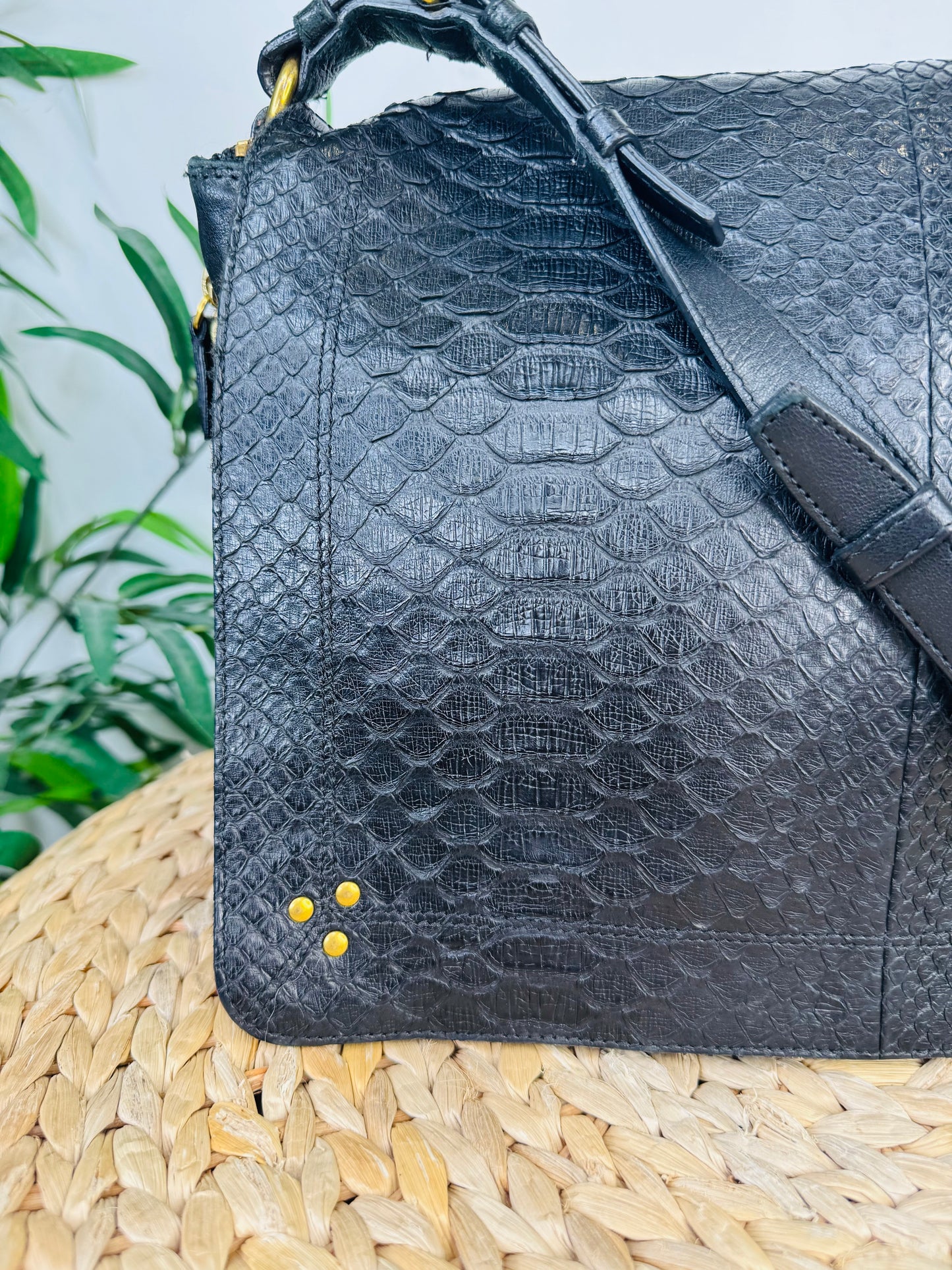 Python Albert Bag