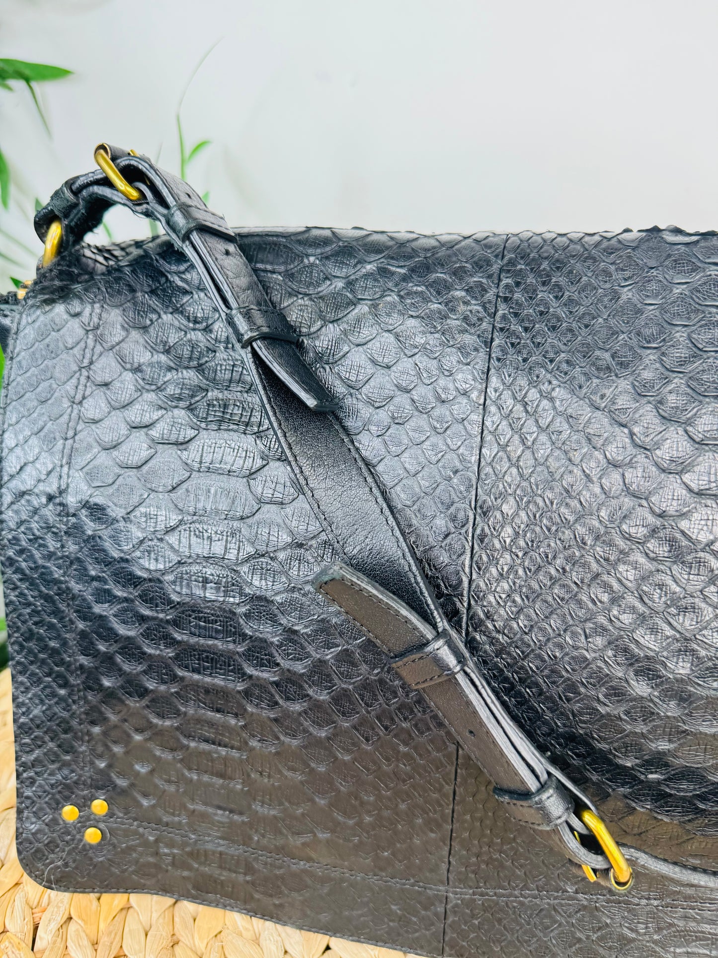Python Albert Bag