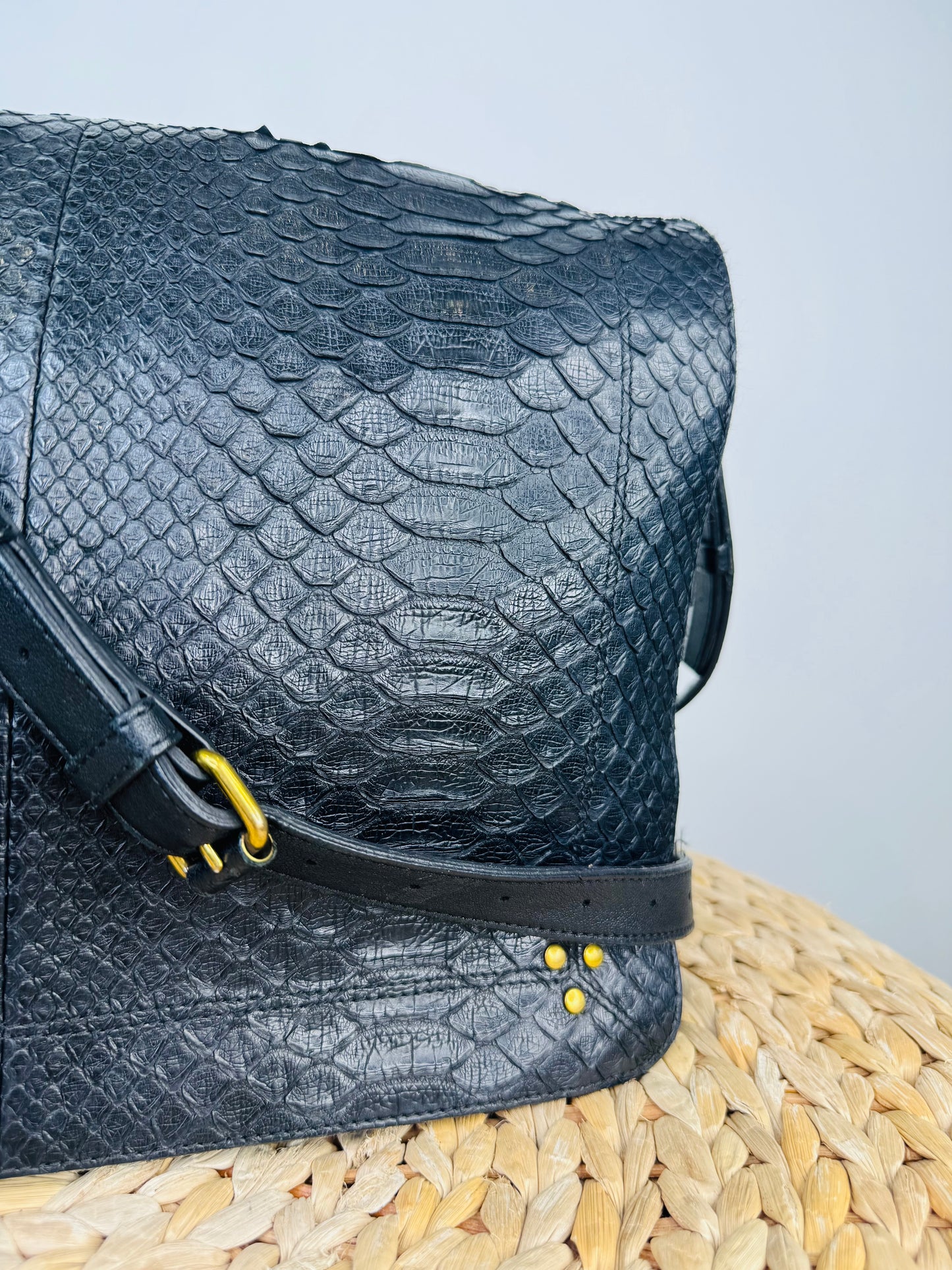 Python Albert Bag