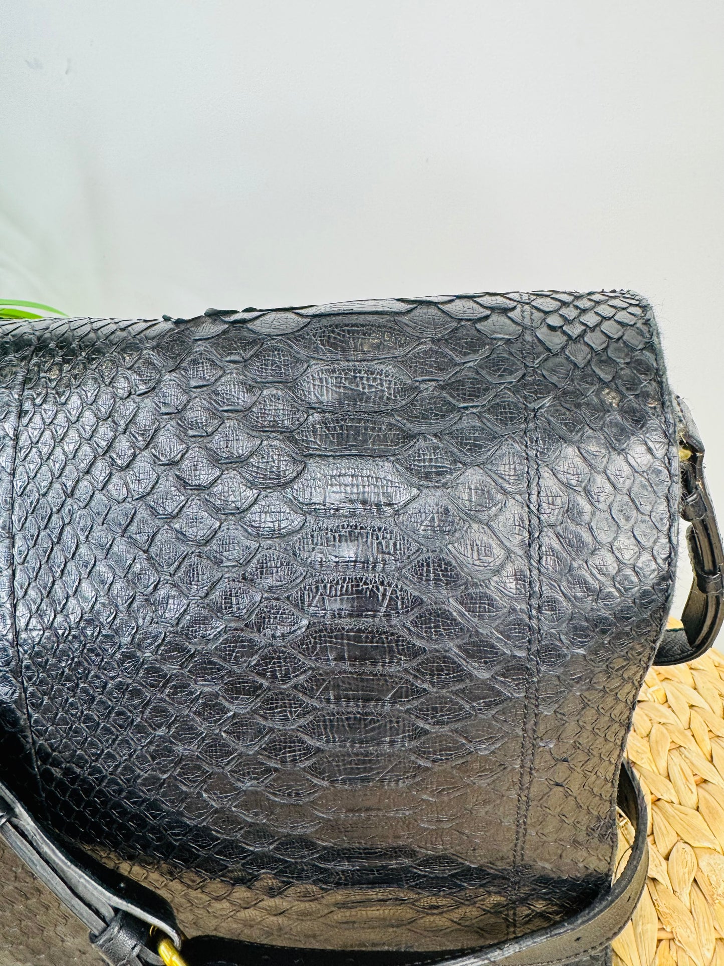 Python Albert Bag