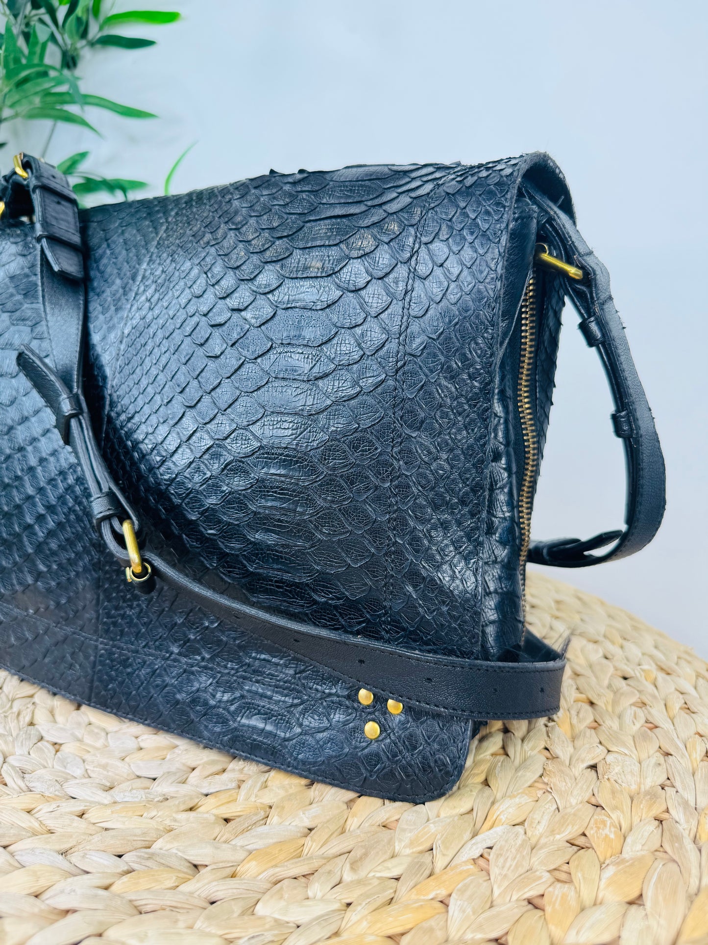 Python Albert Bag