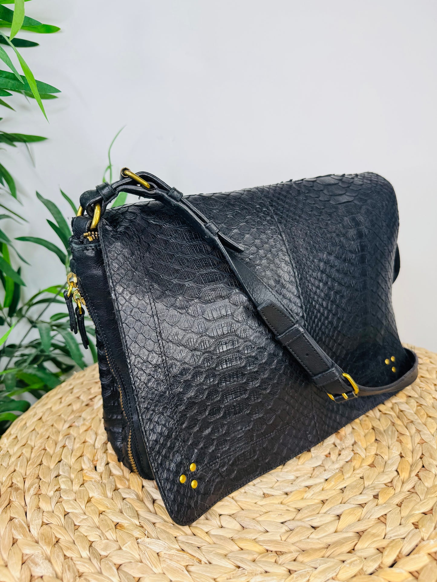 Python Albert Bag