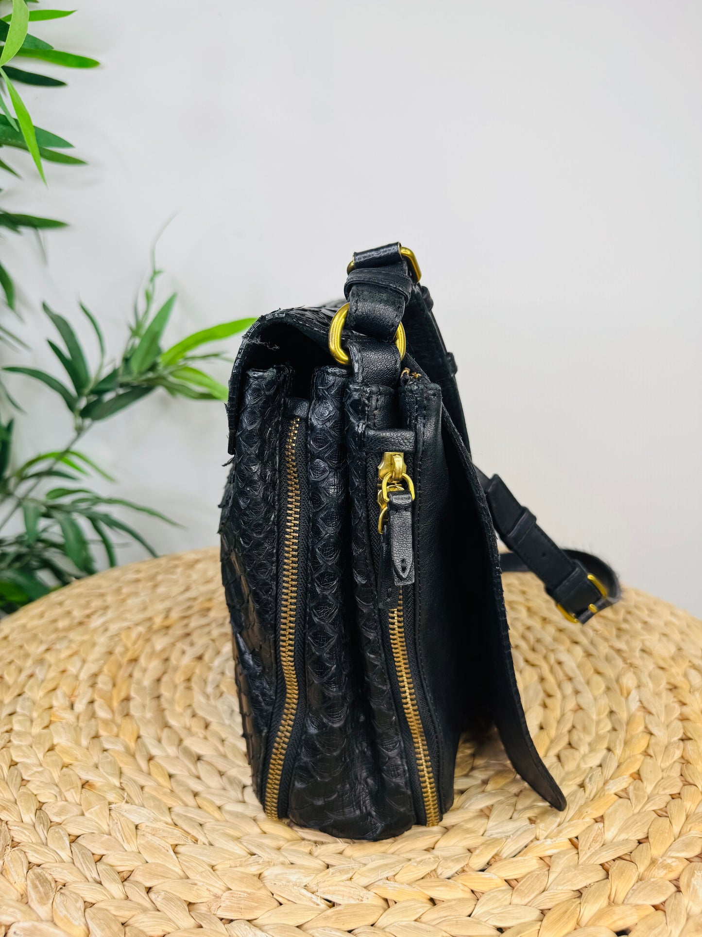 Python Albert Bag
