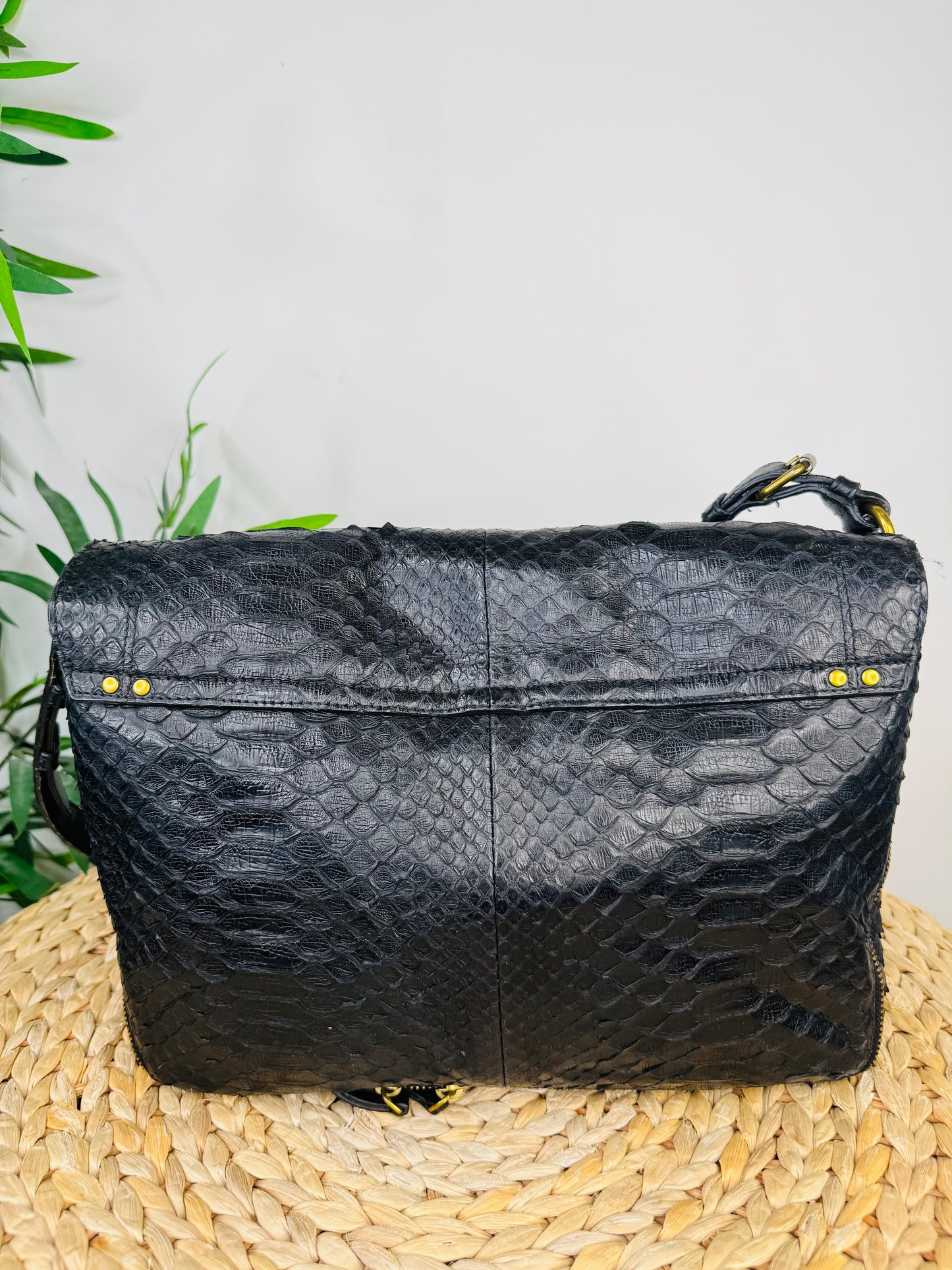 Python Albert Bag