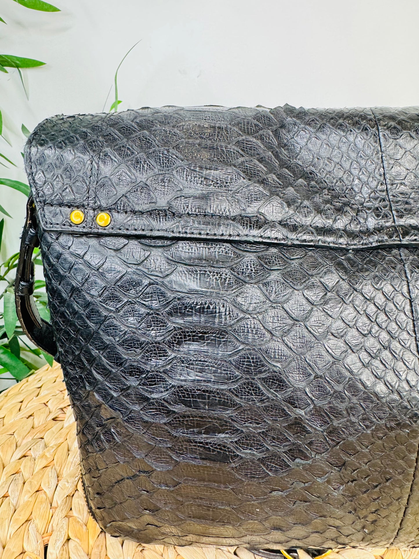 Python Albert Bag