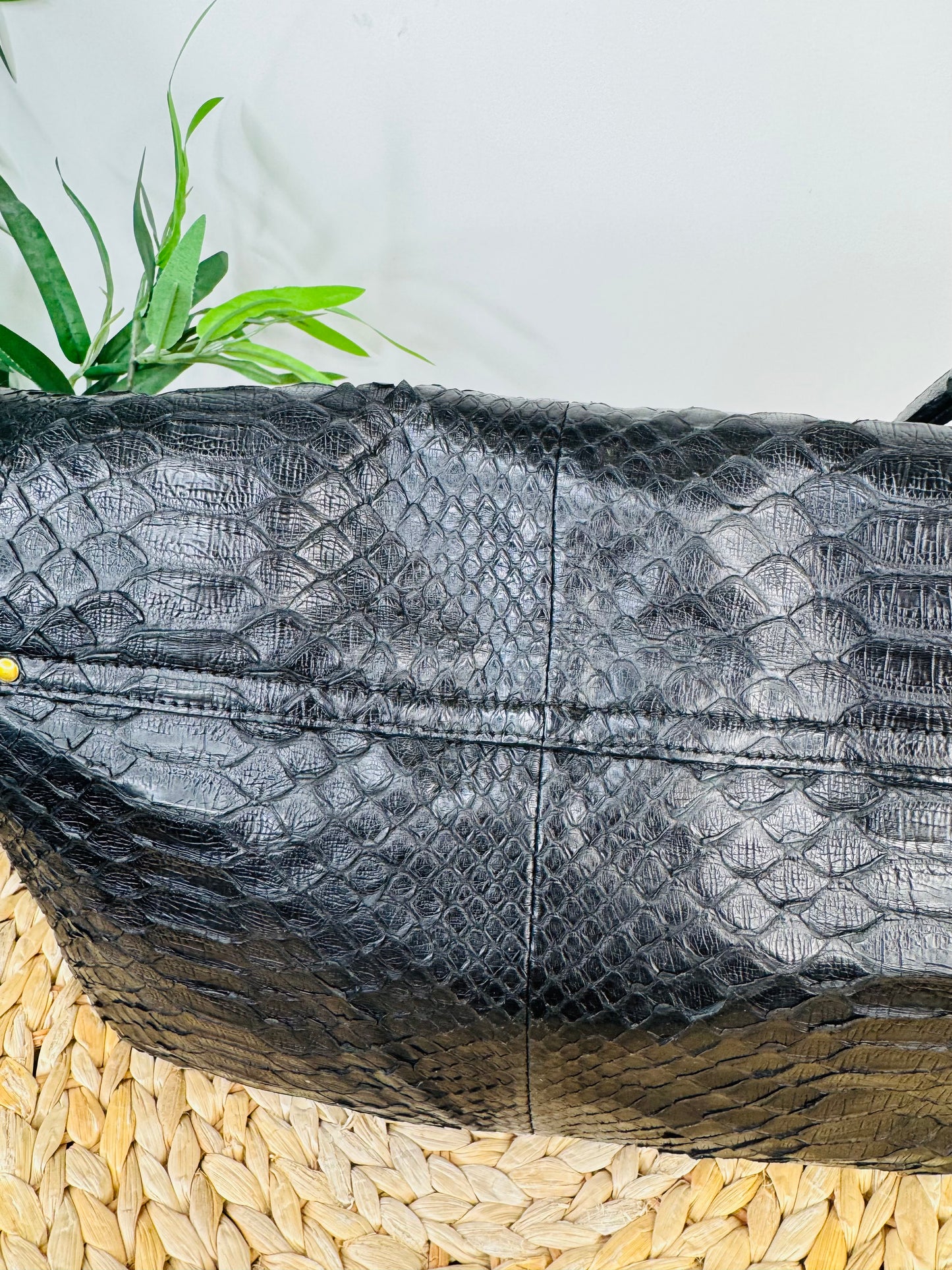 Python Albert Bag