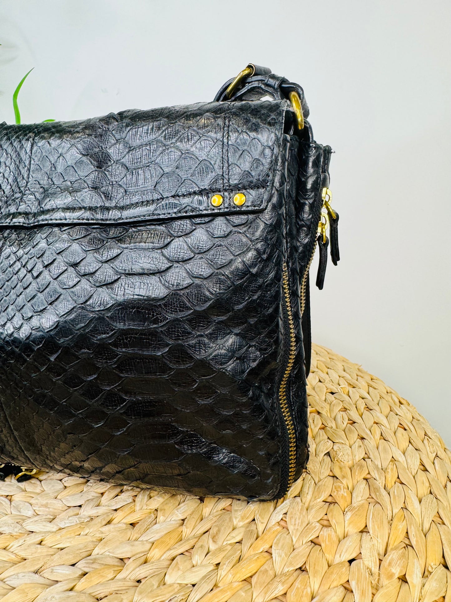 Python Albert Bag
