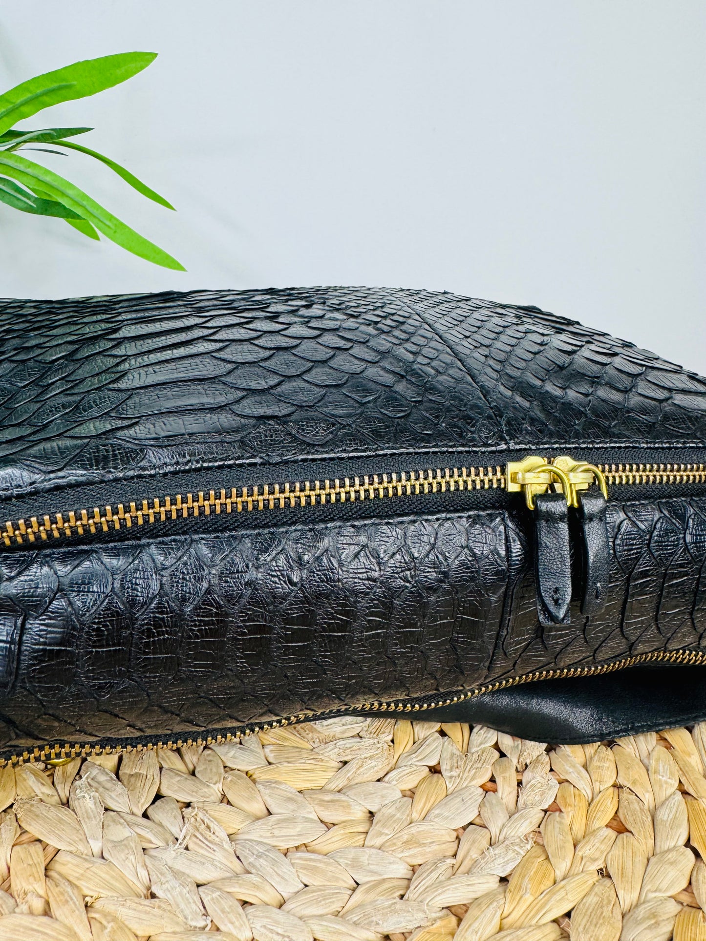 Python Albert Bag