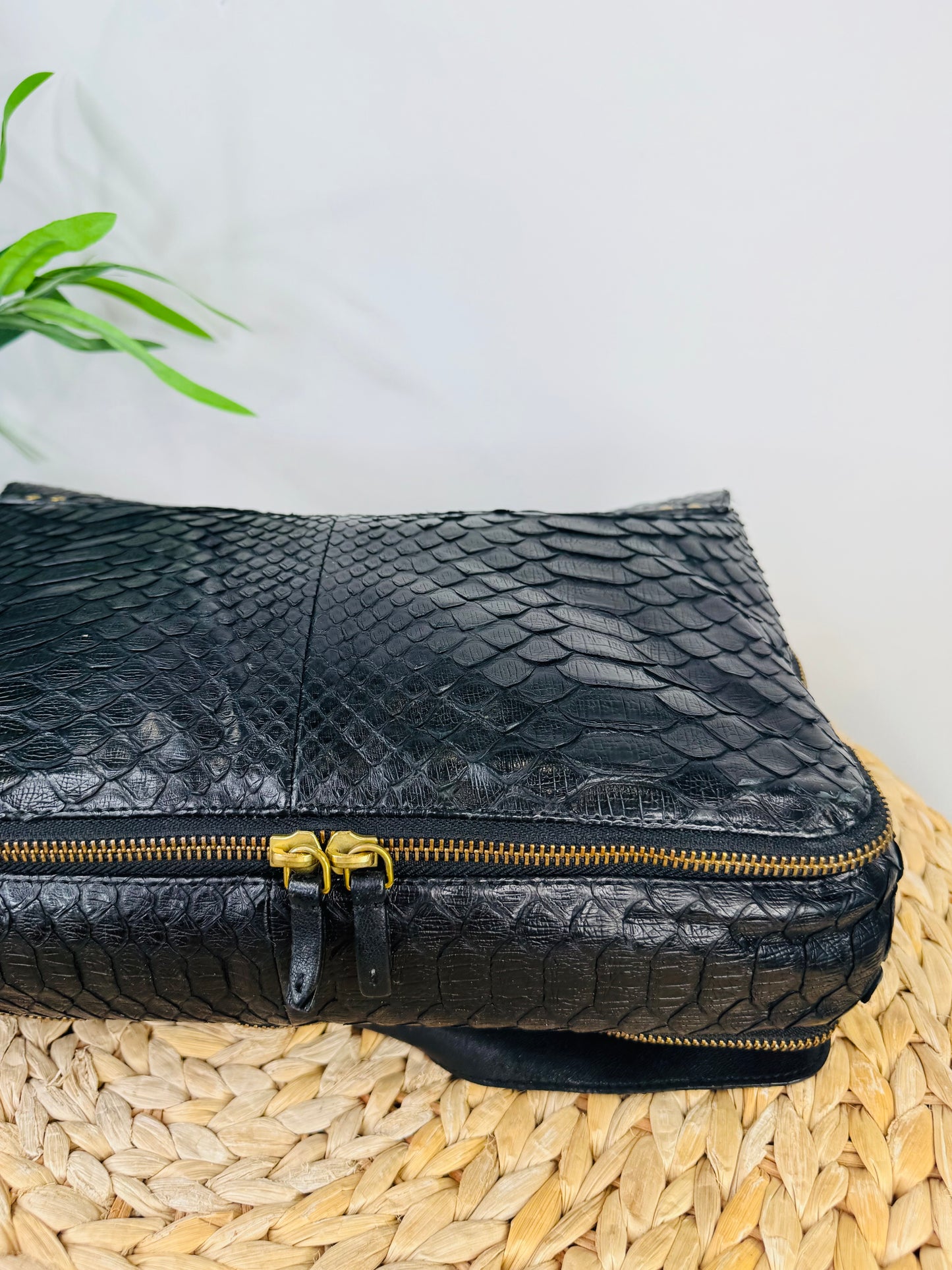 Python Albert Bag