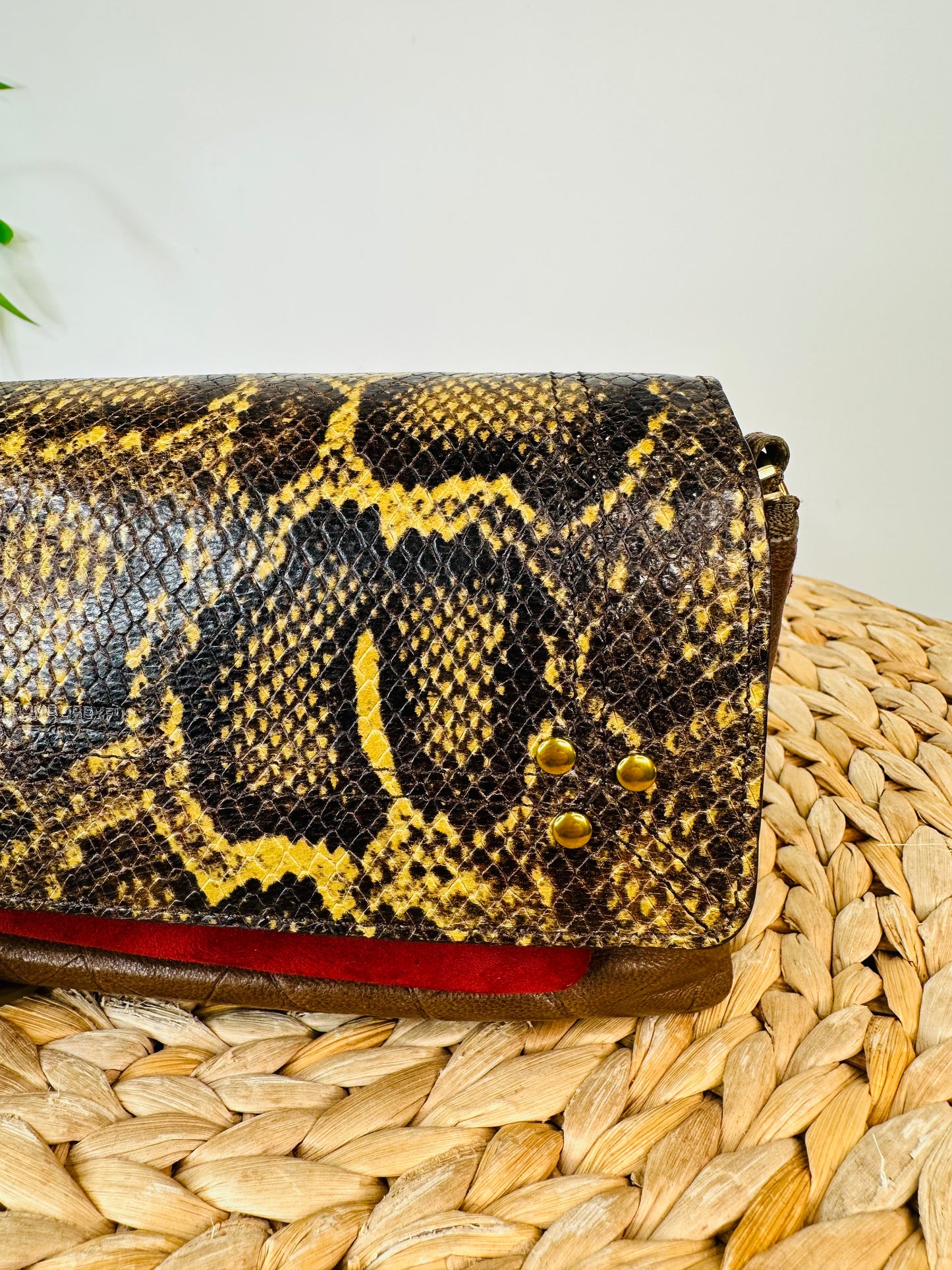 Snakeskin Leather Charly Bag