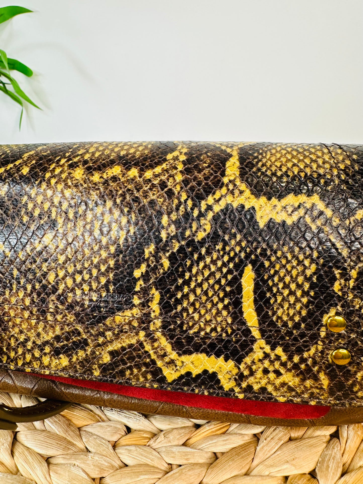 Snakeskin Leather Charly Bag