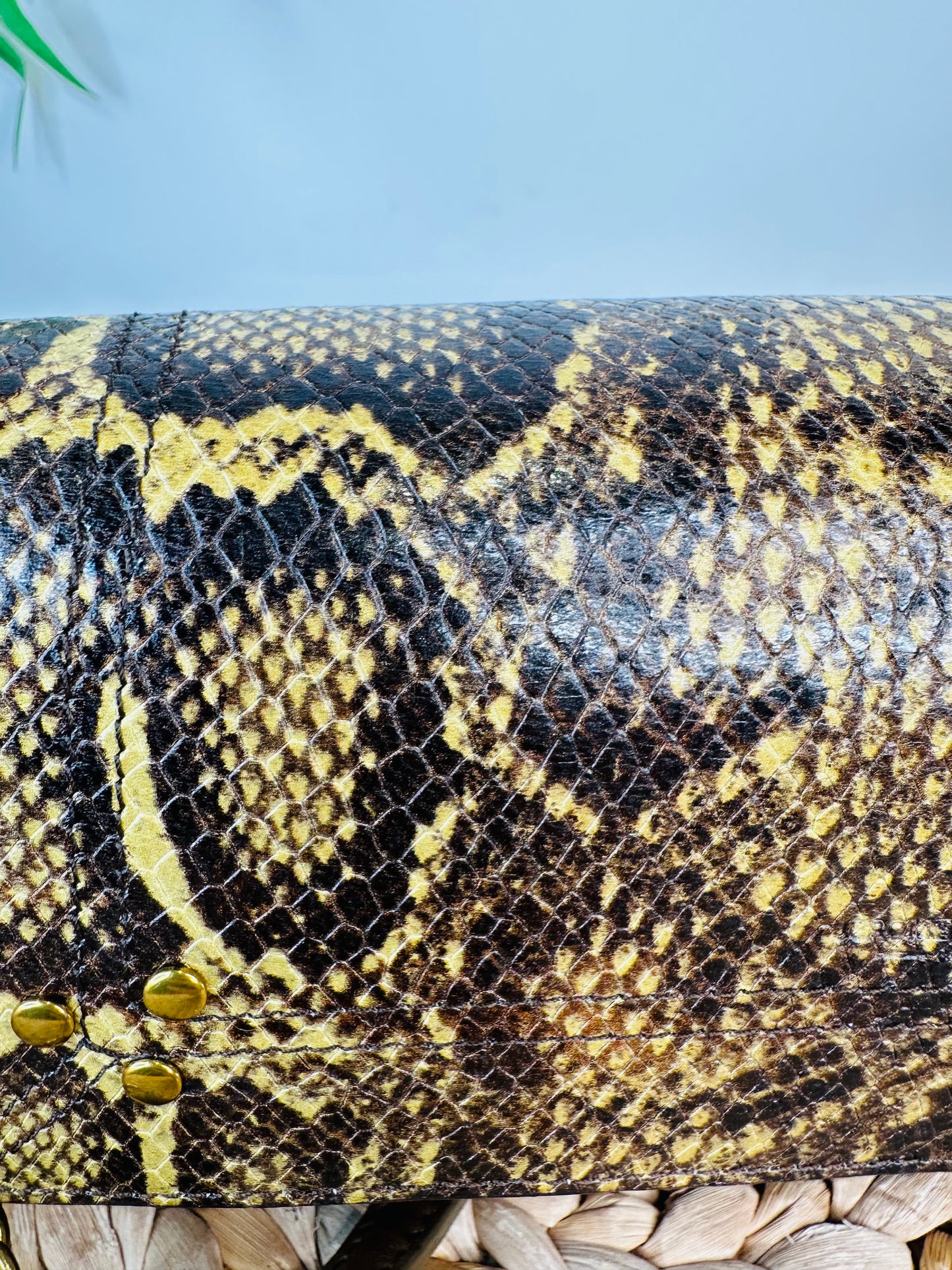 Snakeskin Leather Charly Bag