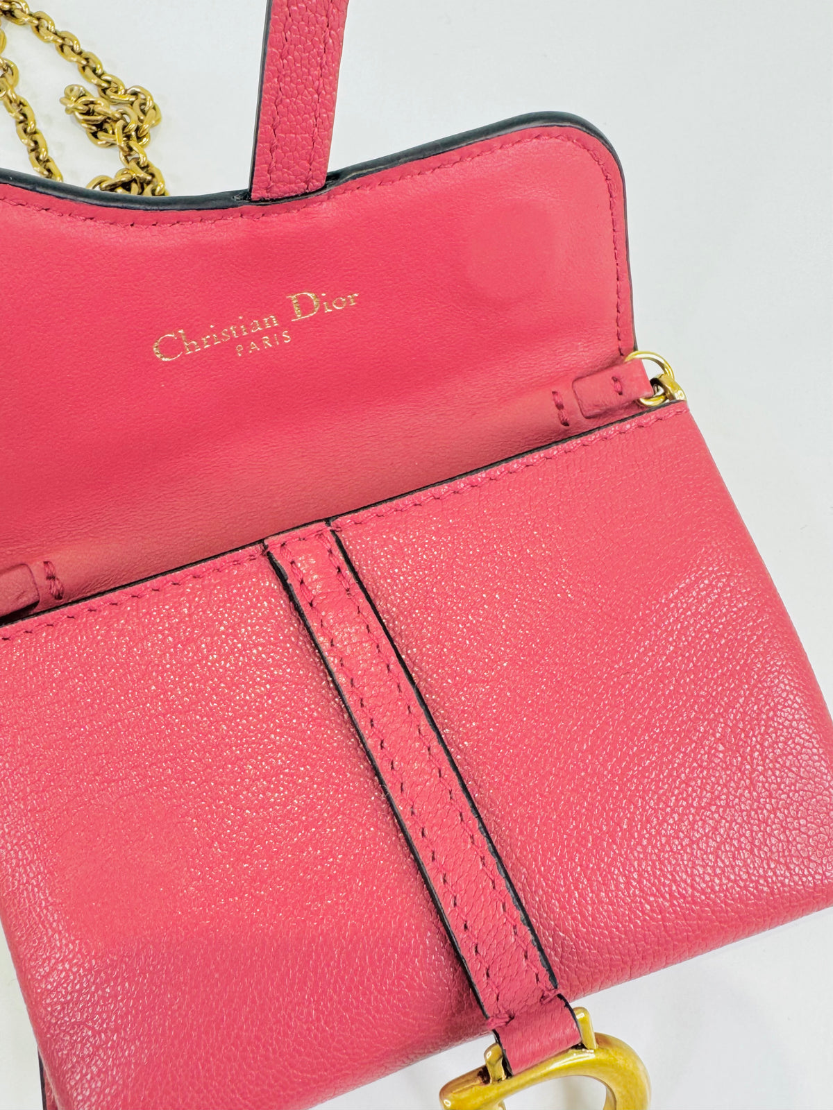 Nano Saddle Chain Pouch