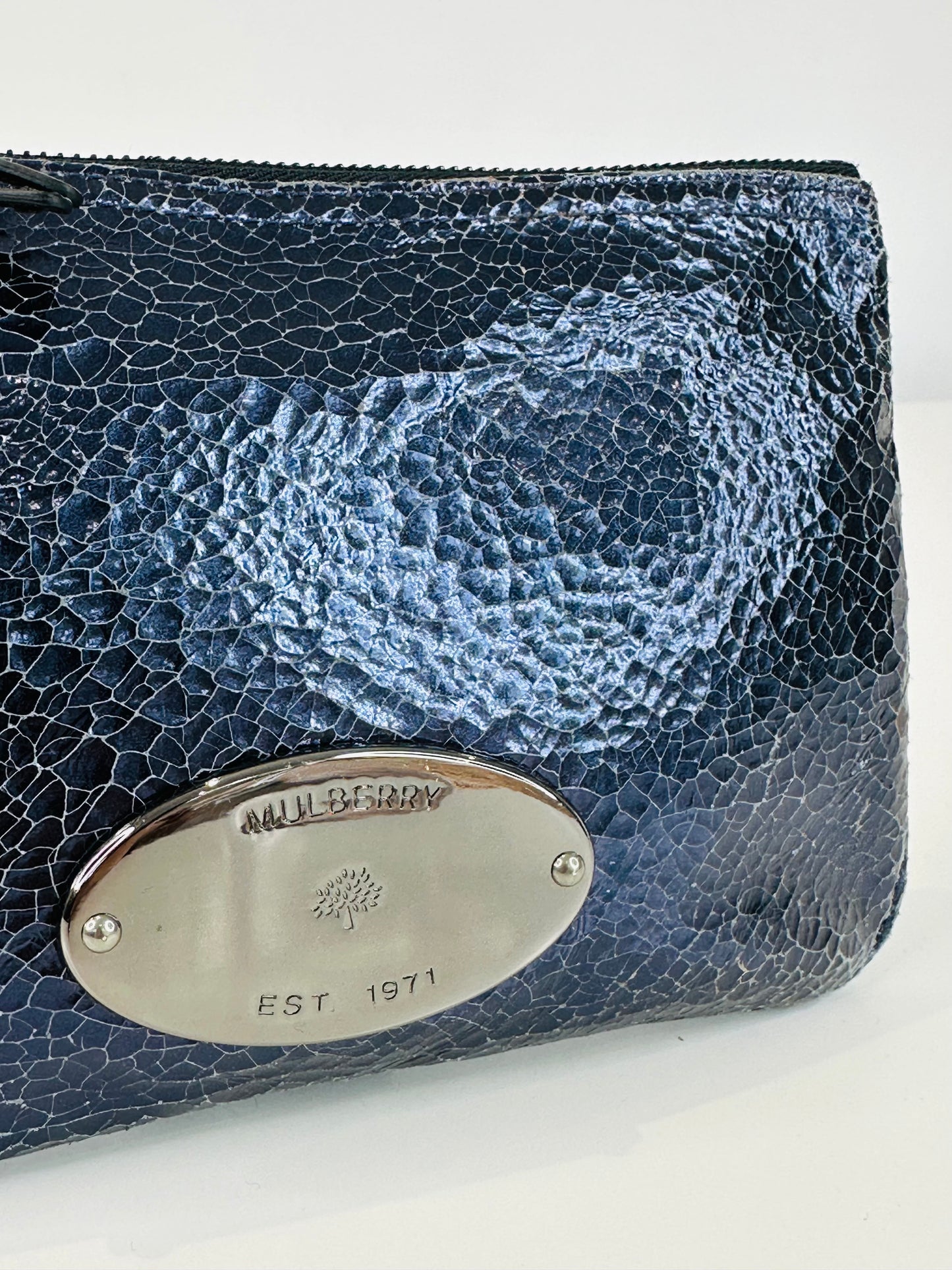 Crackled Leather Pouch