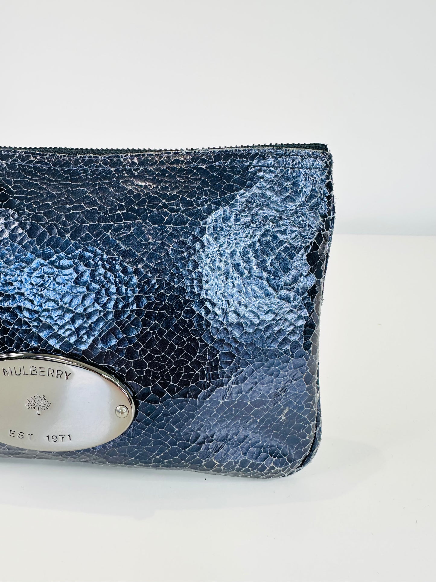 Crackled Leather Pouch