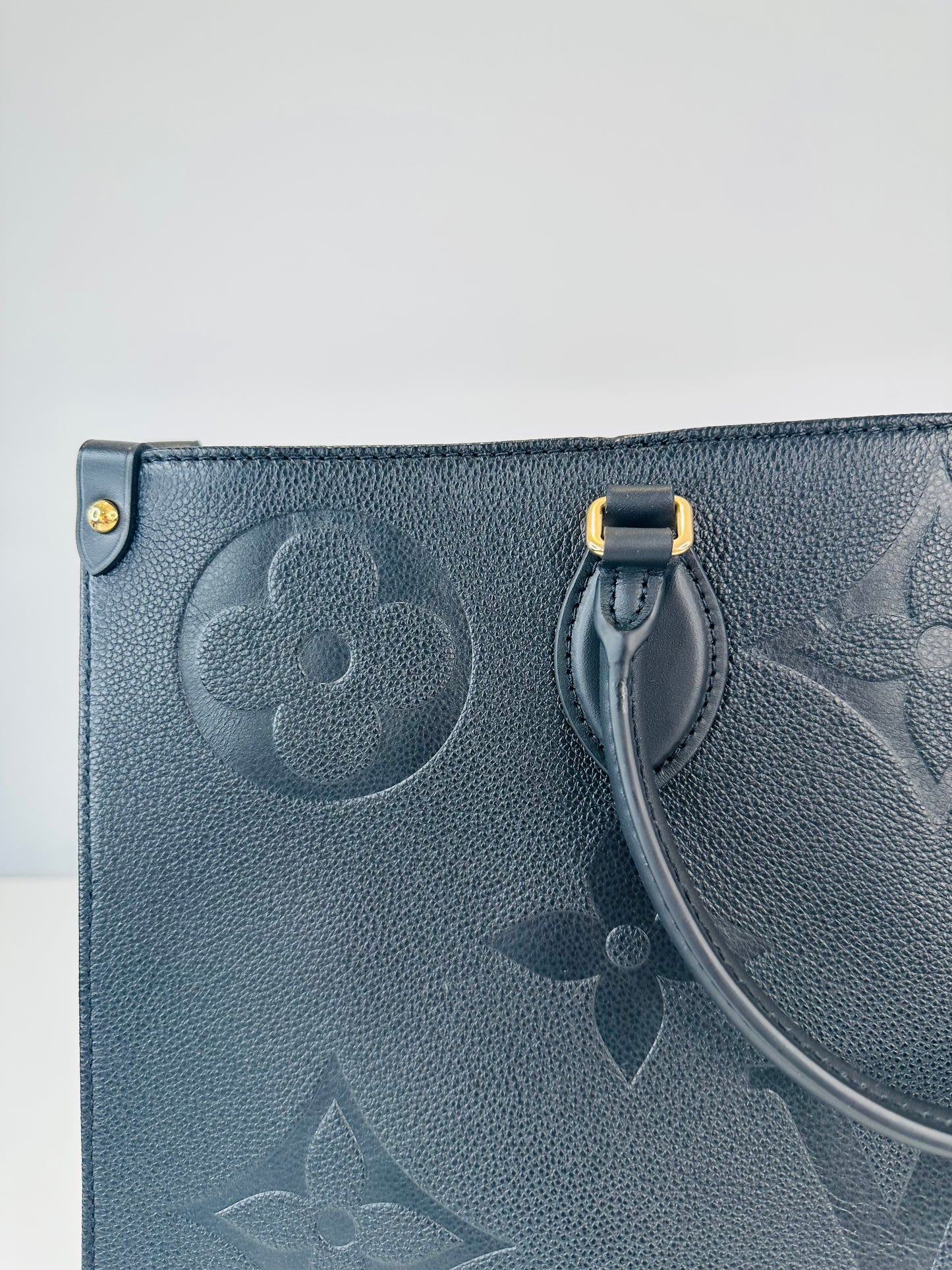 OnTheGo GM Bag