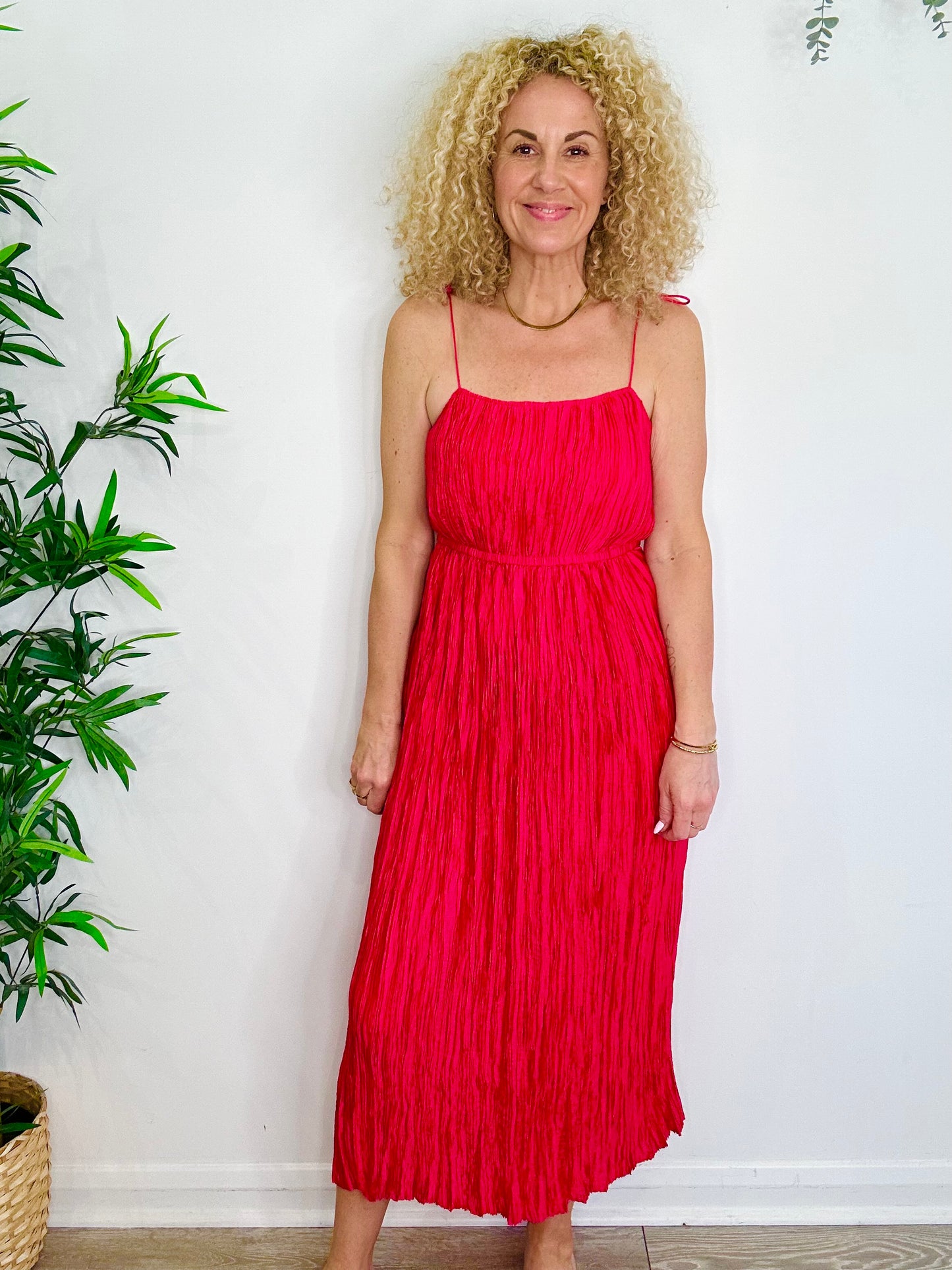 Pleated Maxi Dress - Size 0