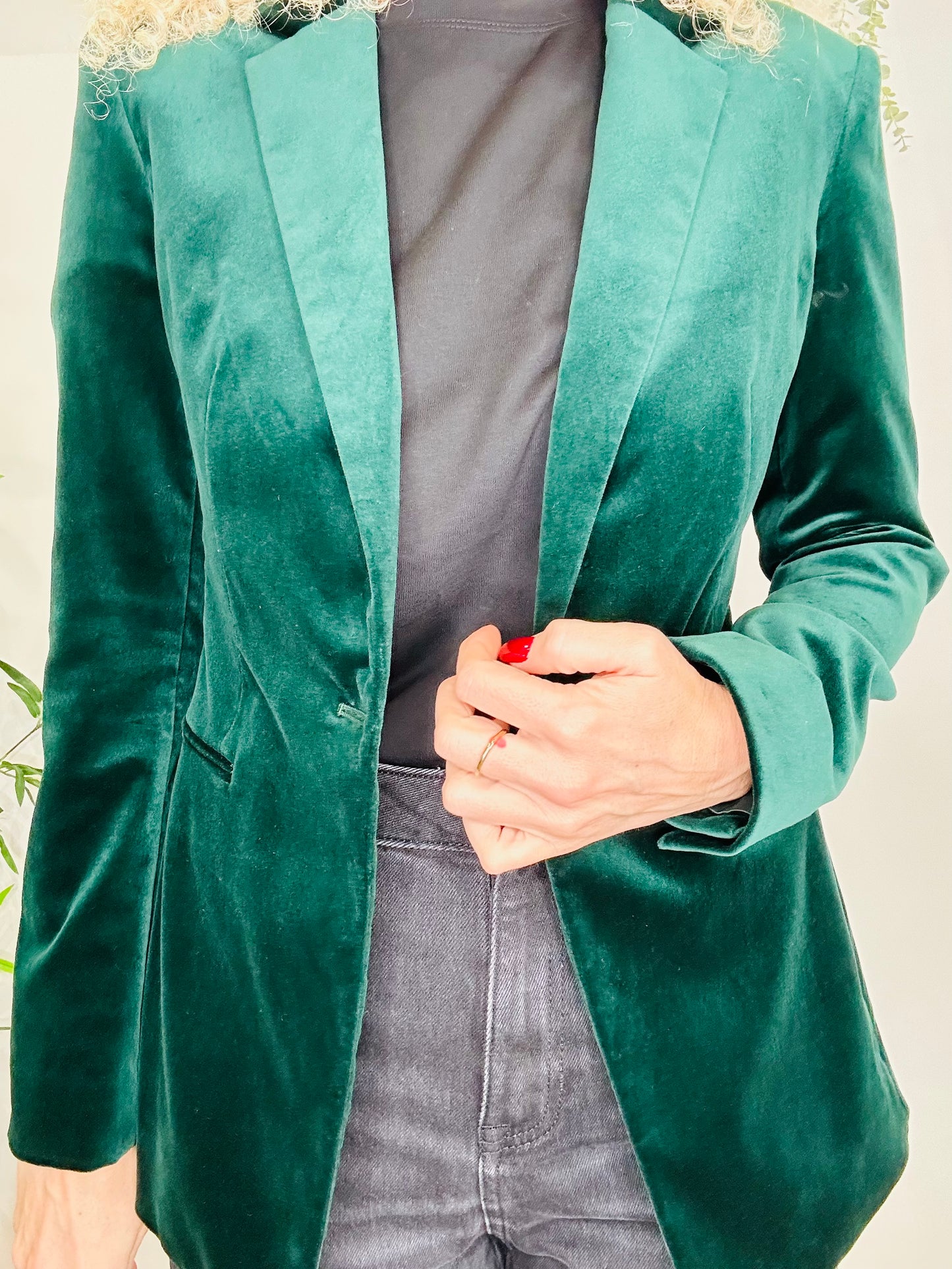 Velvet Blazer - Size 10
