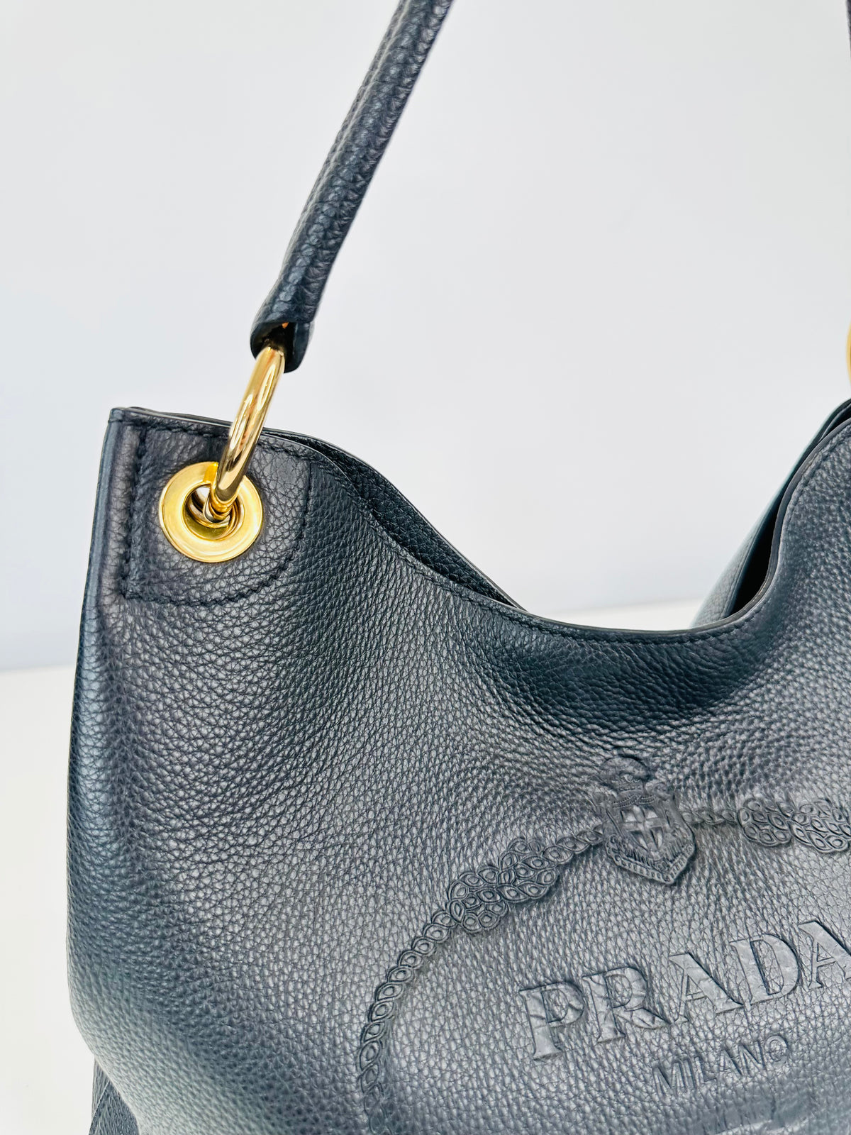 Phenix Leather Hobo Bag