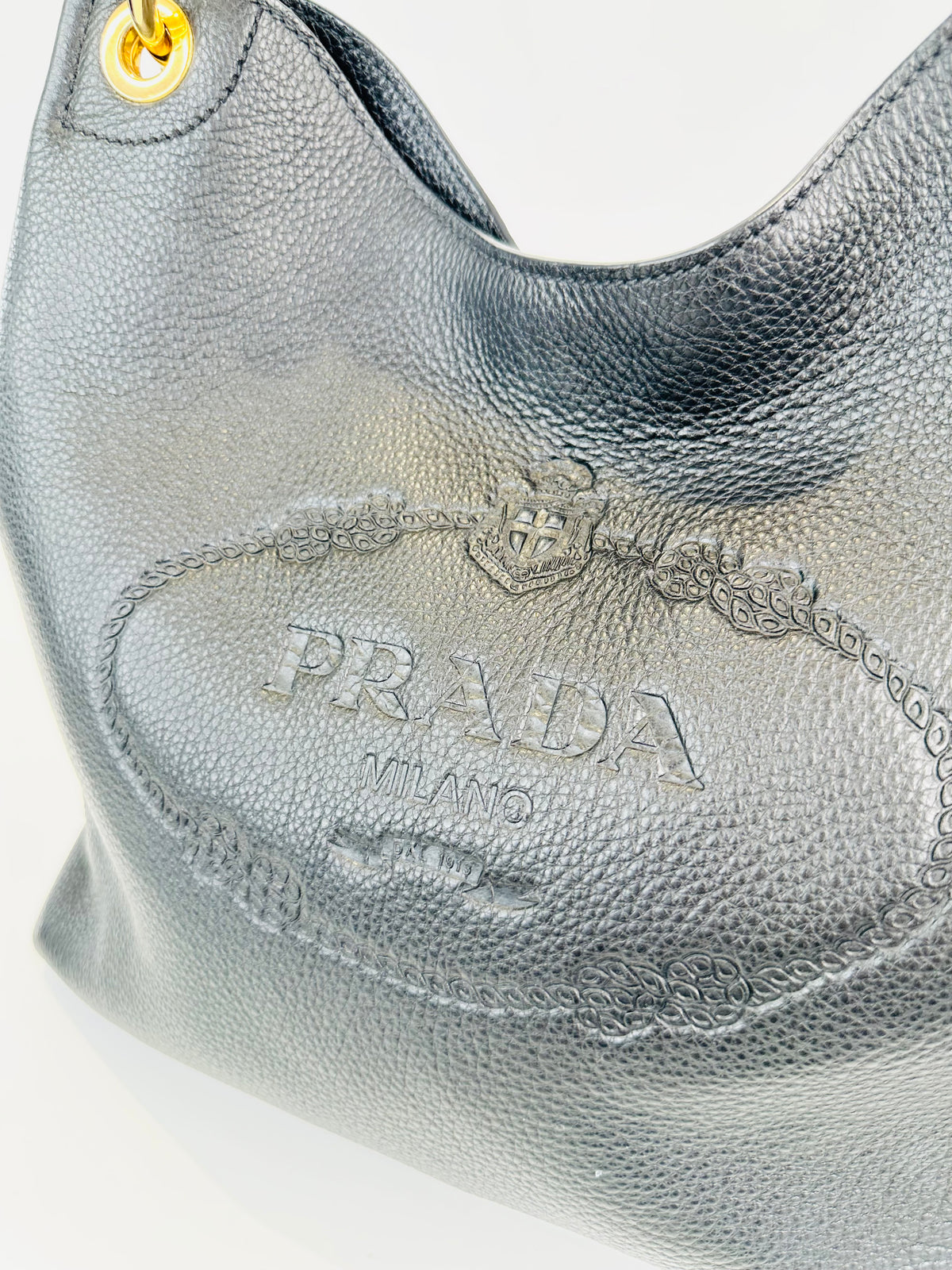 Phenix Leather Hobo Bag