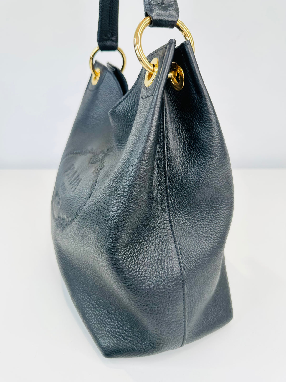 Phenix Leather Hobo Bag