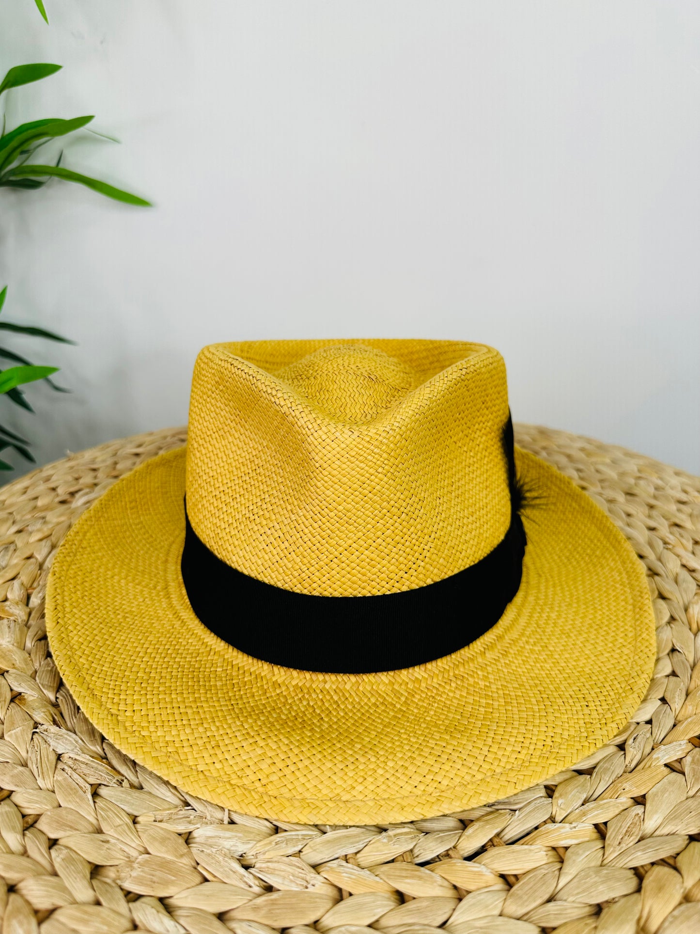 Panama Hat - L