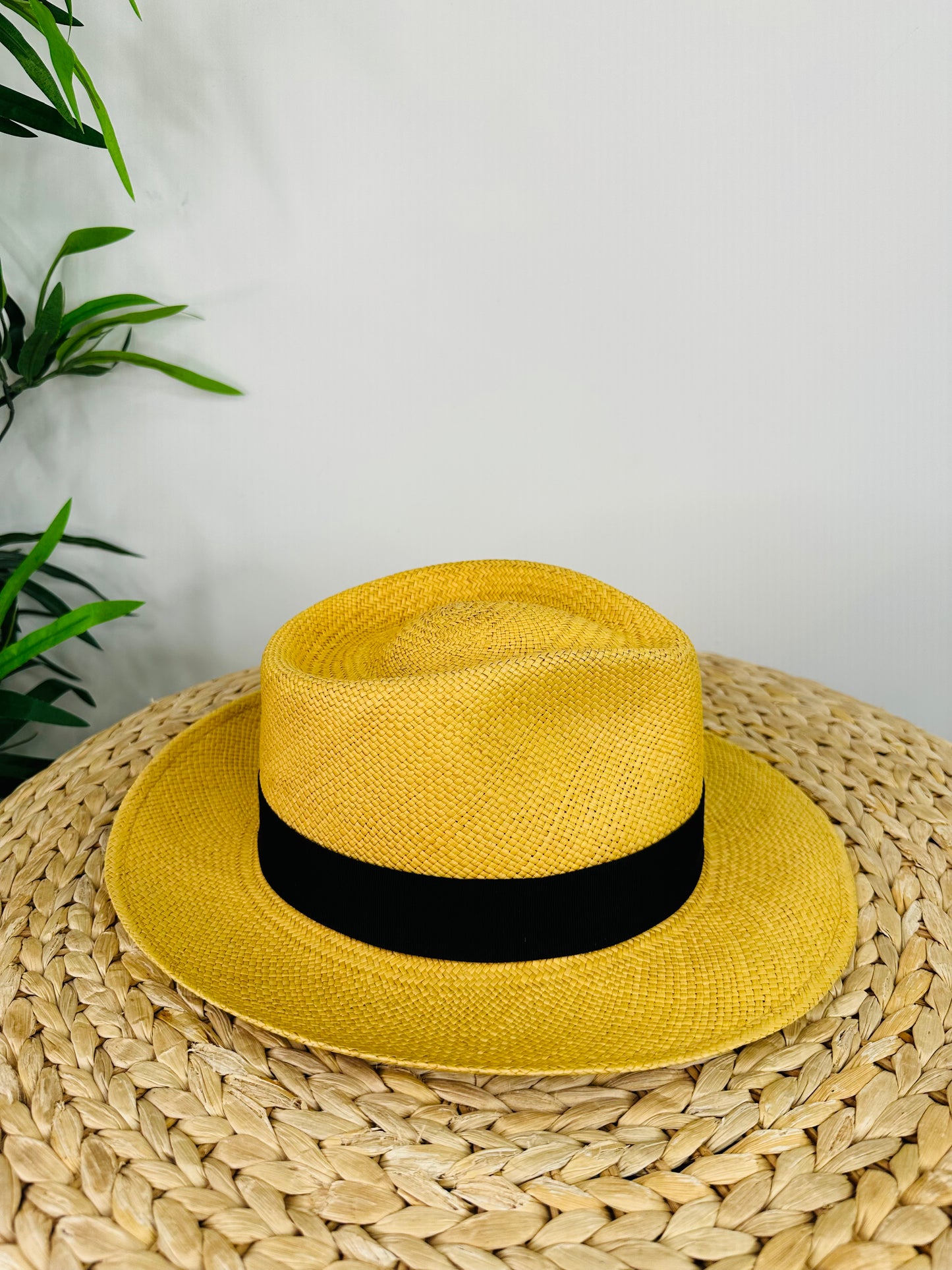 Panama Hat - L