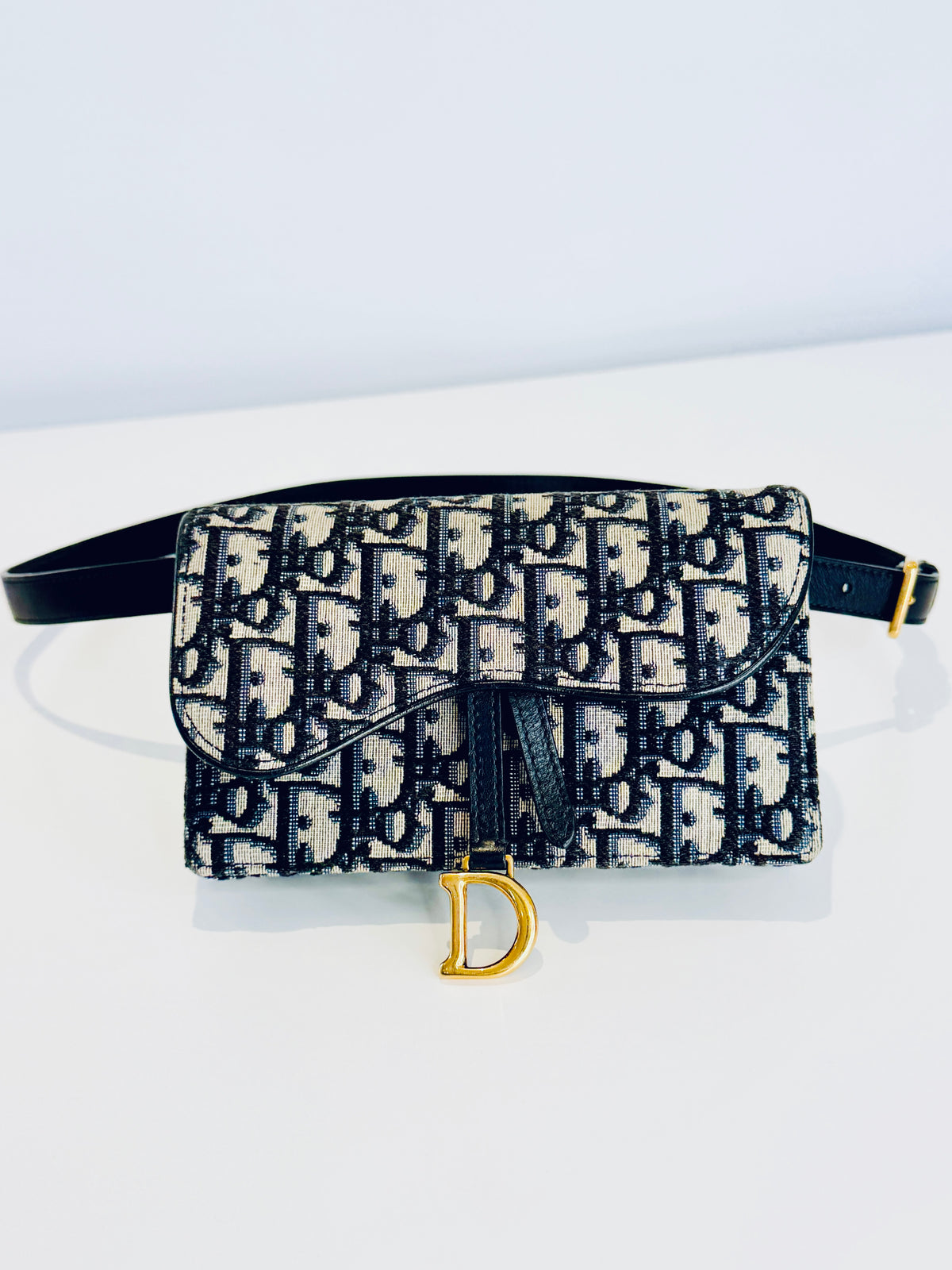 Oblique Canvas Saddle Belt Bag