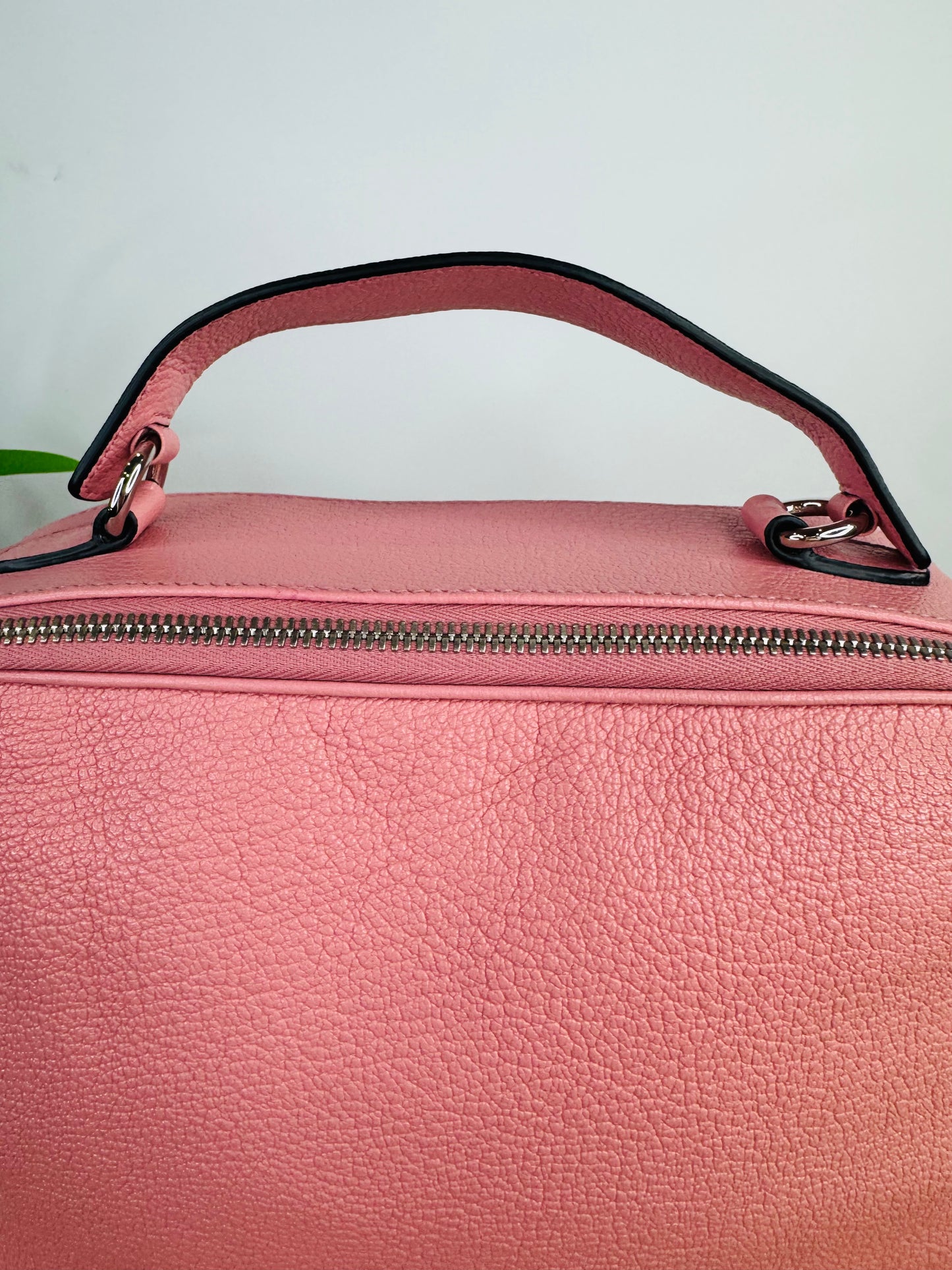 Leather Vanity Crossbody Bag