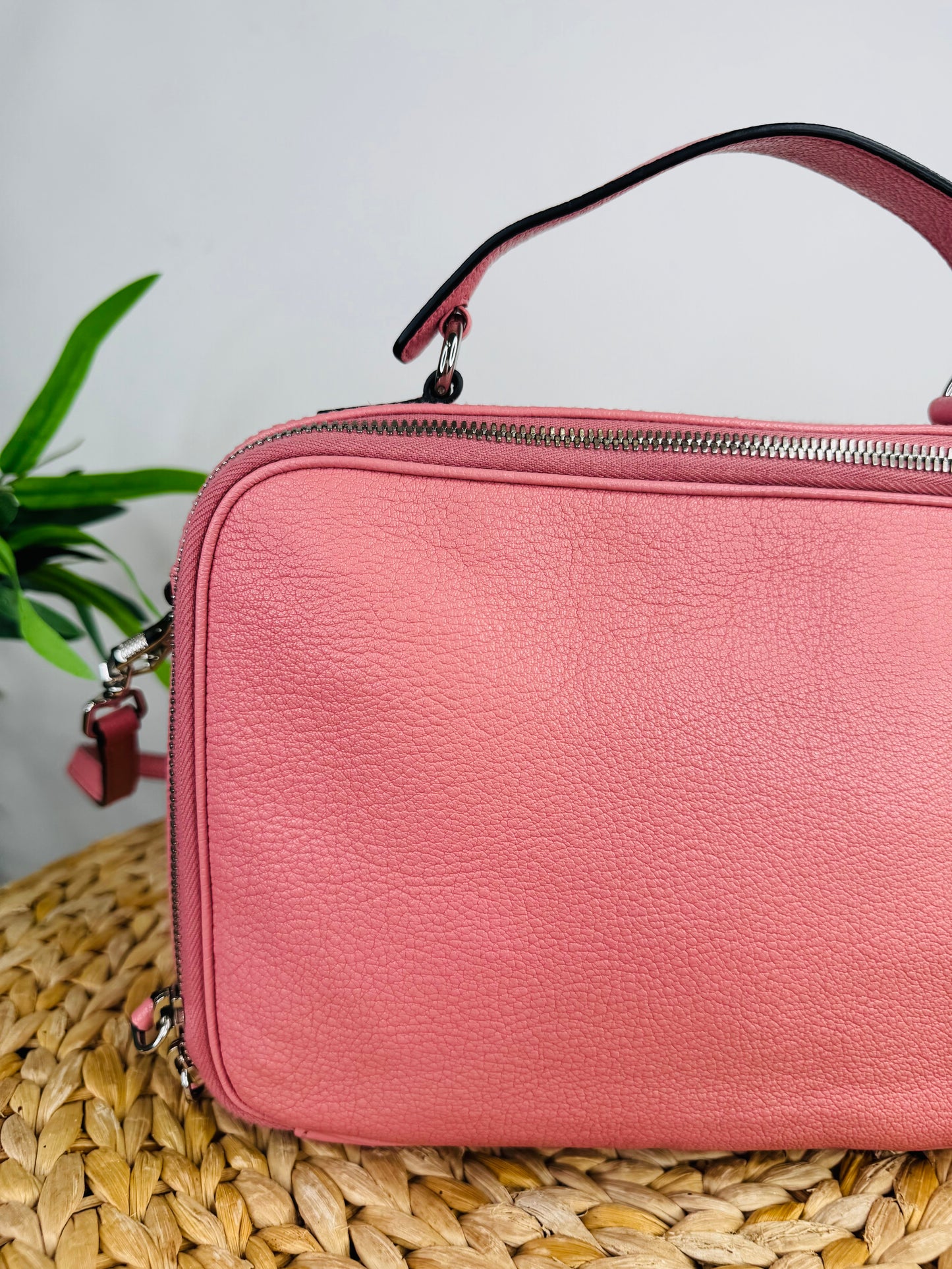 Leather Vanity Crossbody Bag