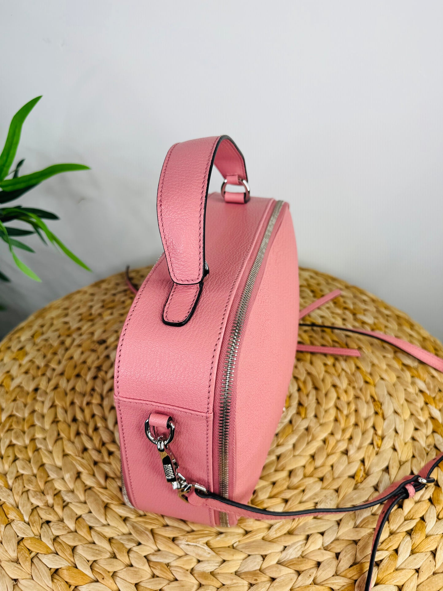 Leather Vanity Crossbody Bag