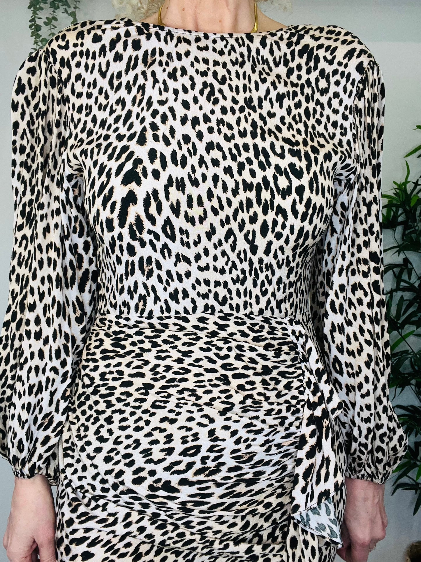Leopard Print Dress - Size 38