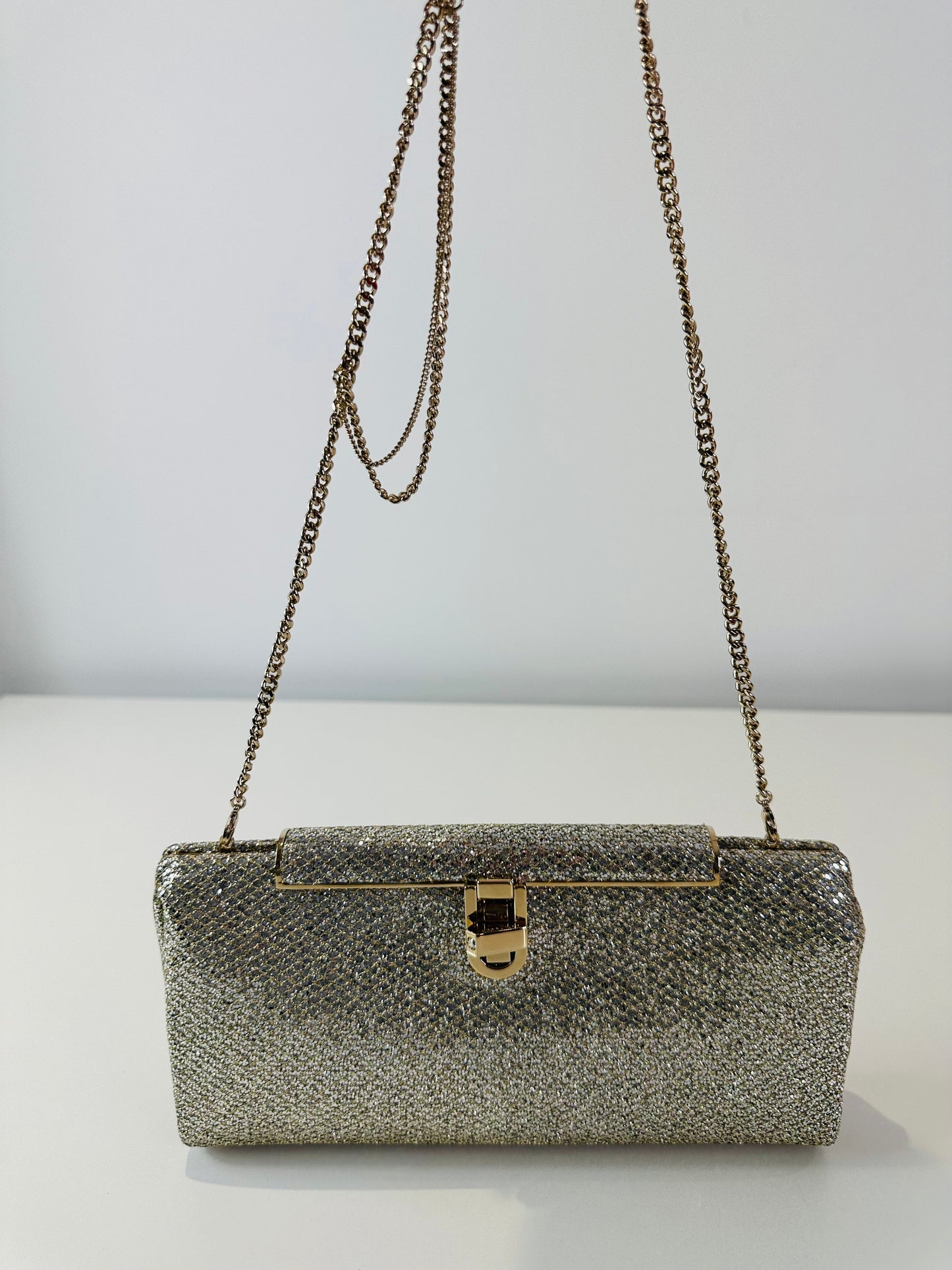 Ellipse Sparkly Clutch