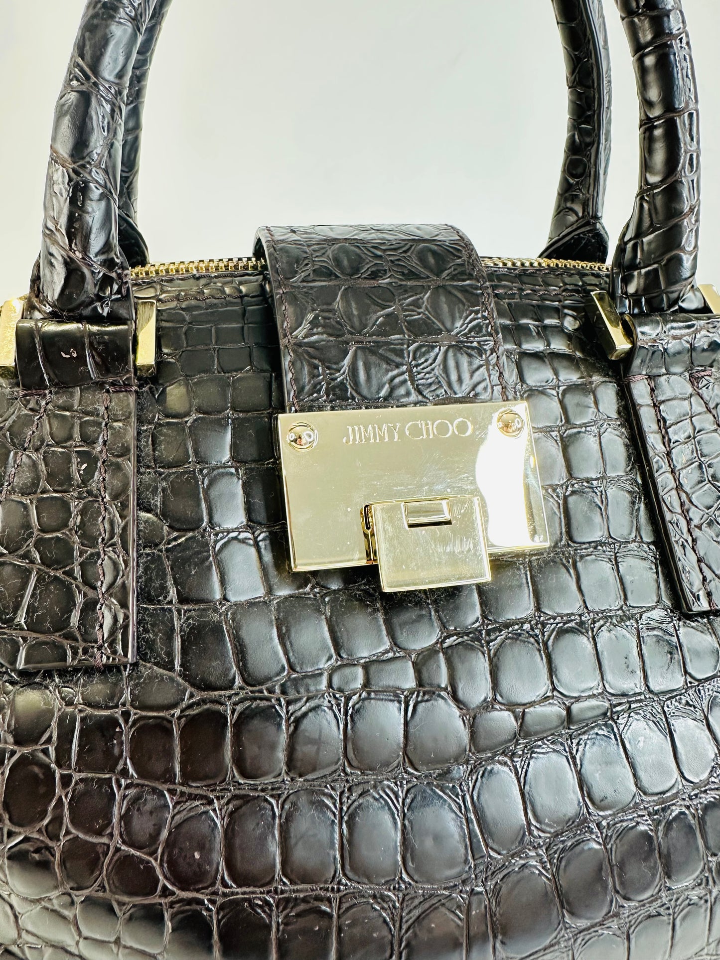 Crocodile Embossed Bag